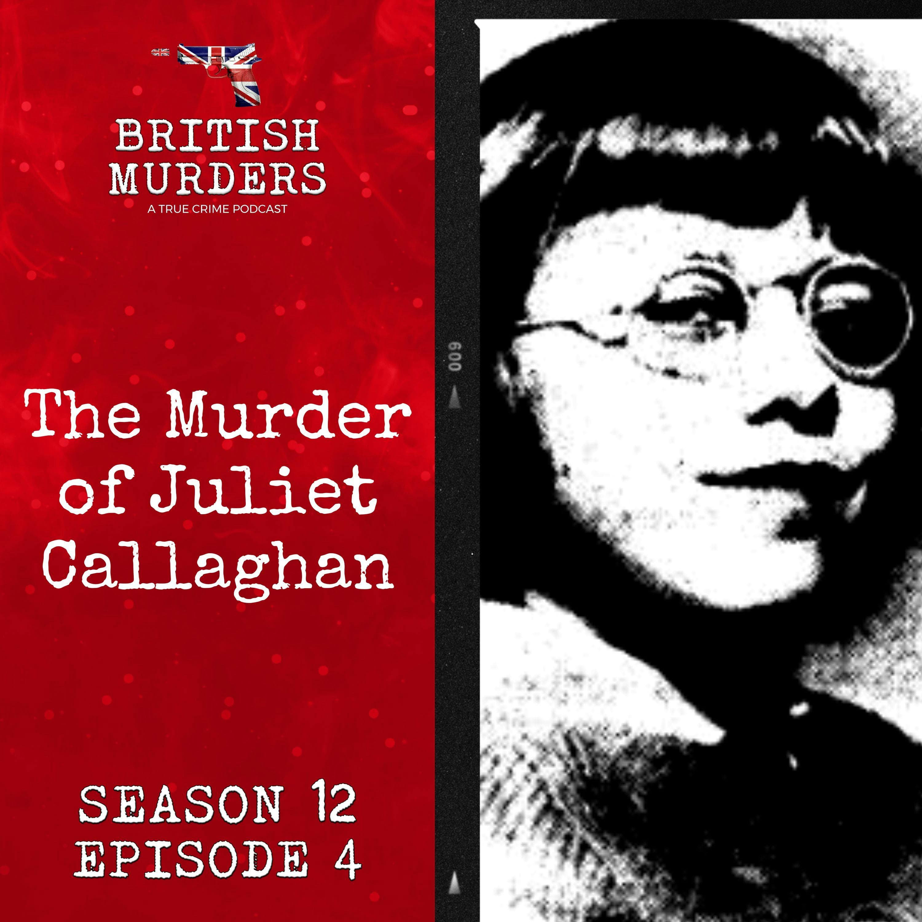 British Murders with Stuart Blues podcast cover art