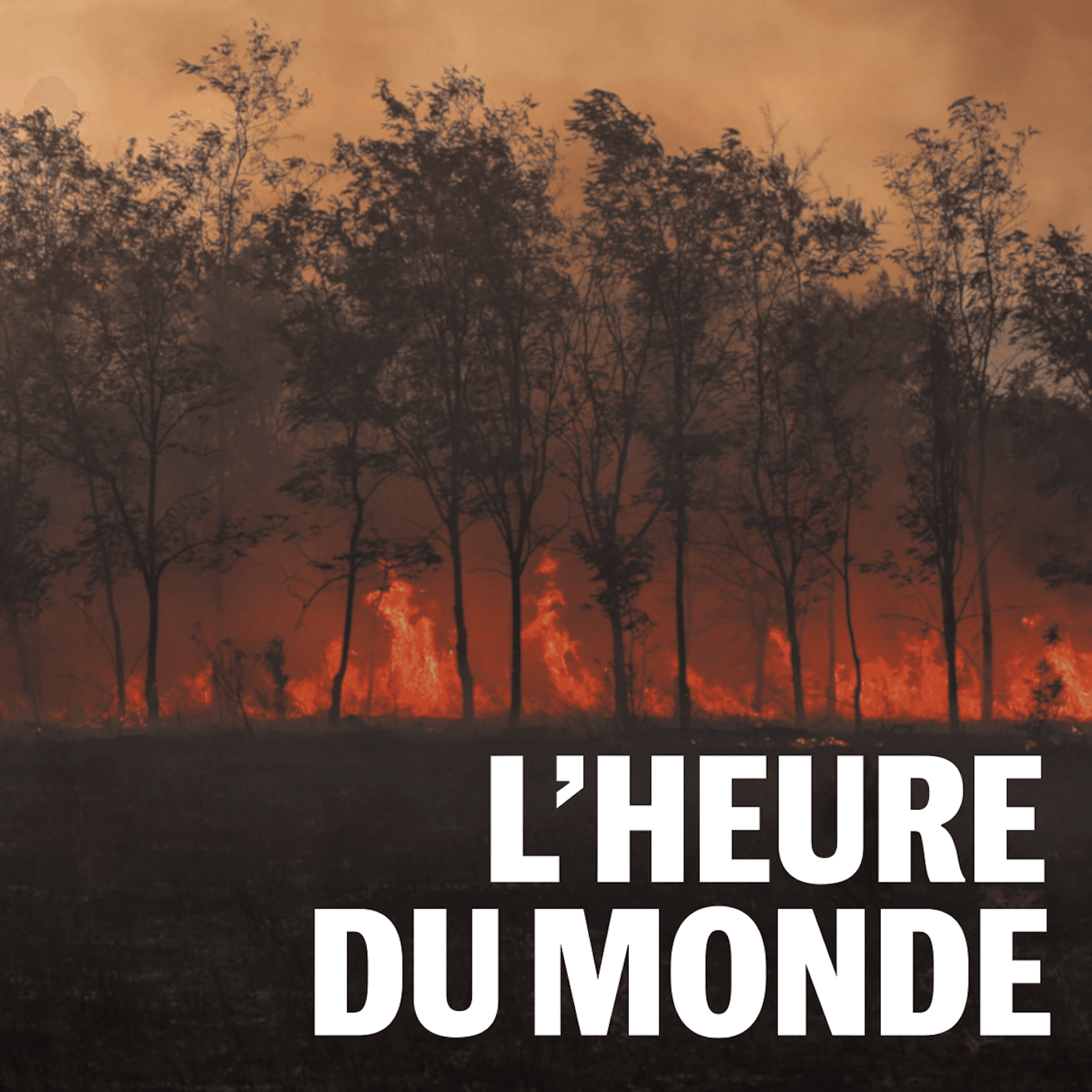 L'Heure du Monde podcast cover art