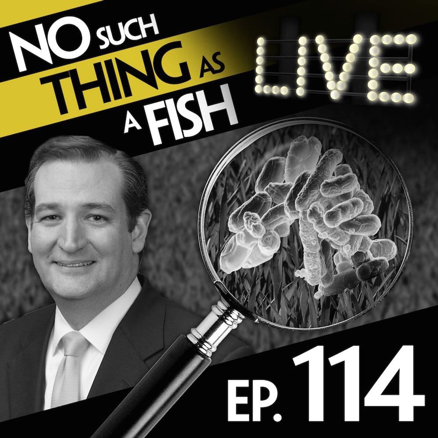 No Such Thing As A Fish podcast cover art