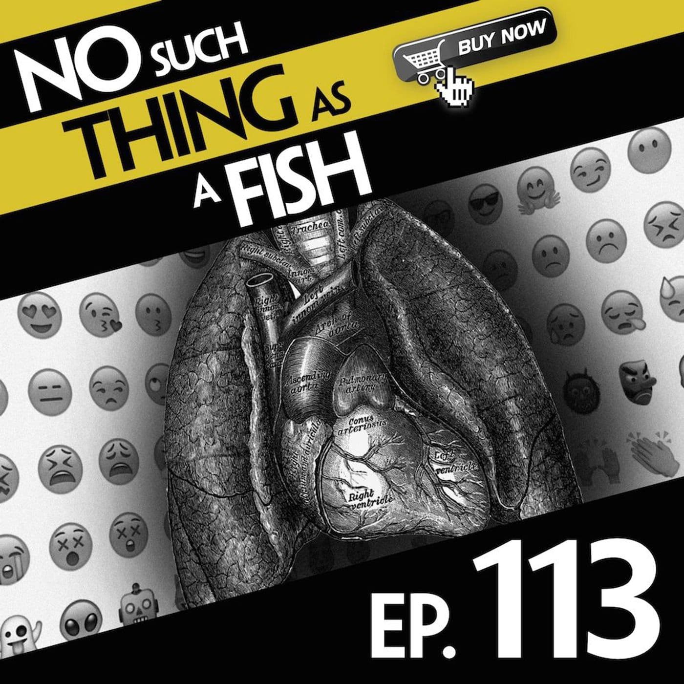 No Such Thing As A Fish podcast cover art