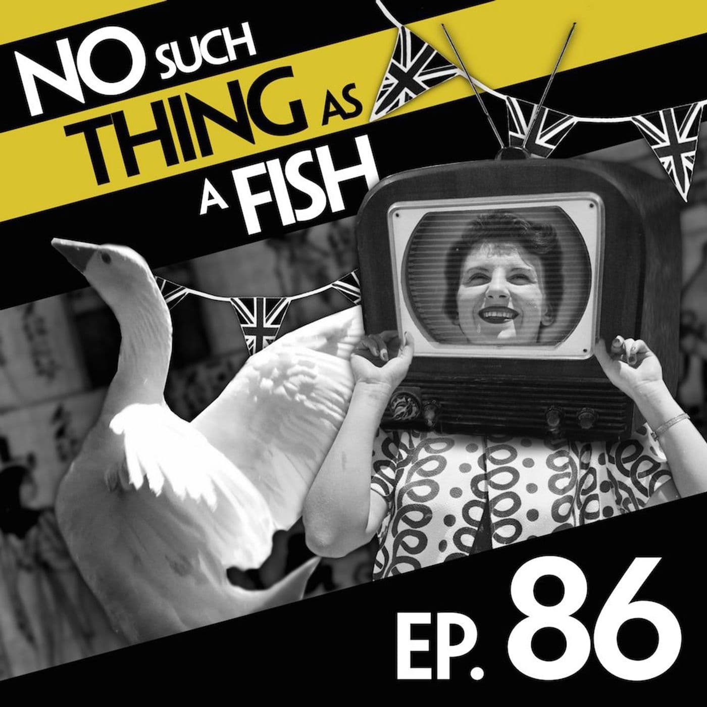 No Such Thing As A Fish podcast cover art