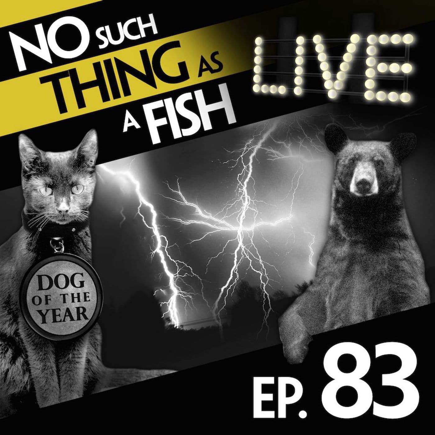 No Such Thing As A Fish podcast cover art