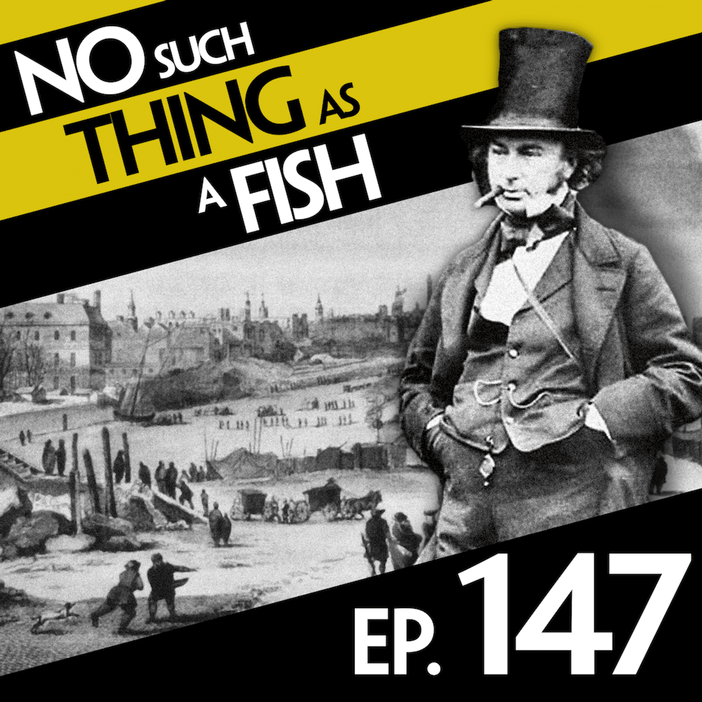 No Such Thing As A Fish podcast cover art