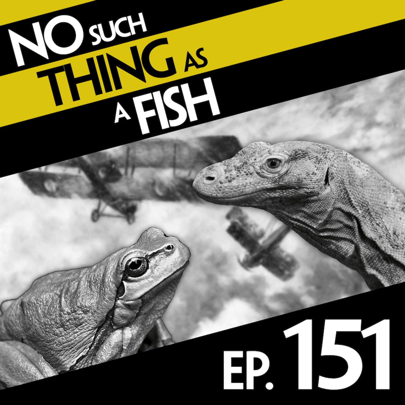 No Such Thing As A Fish podcast cover art