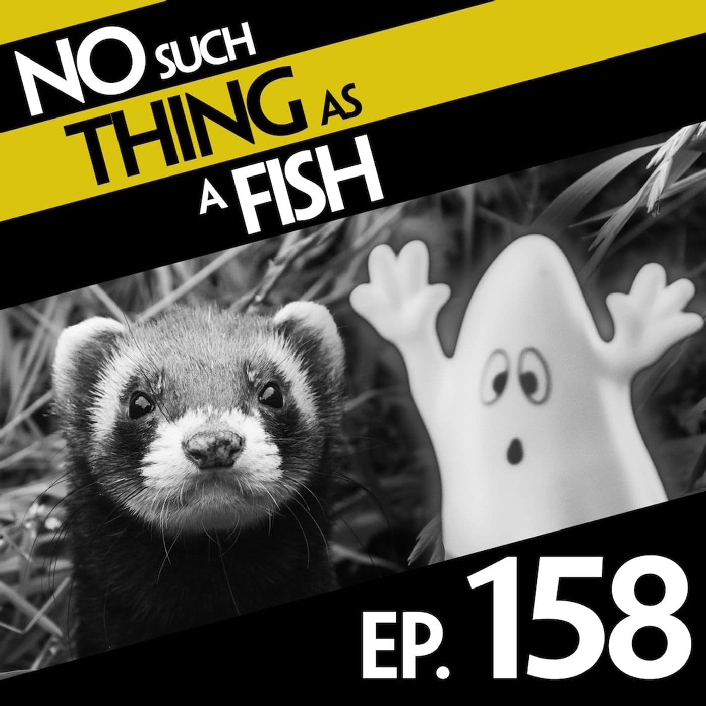 No Such Thing As A Fish podcast cover art