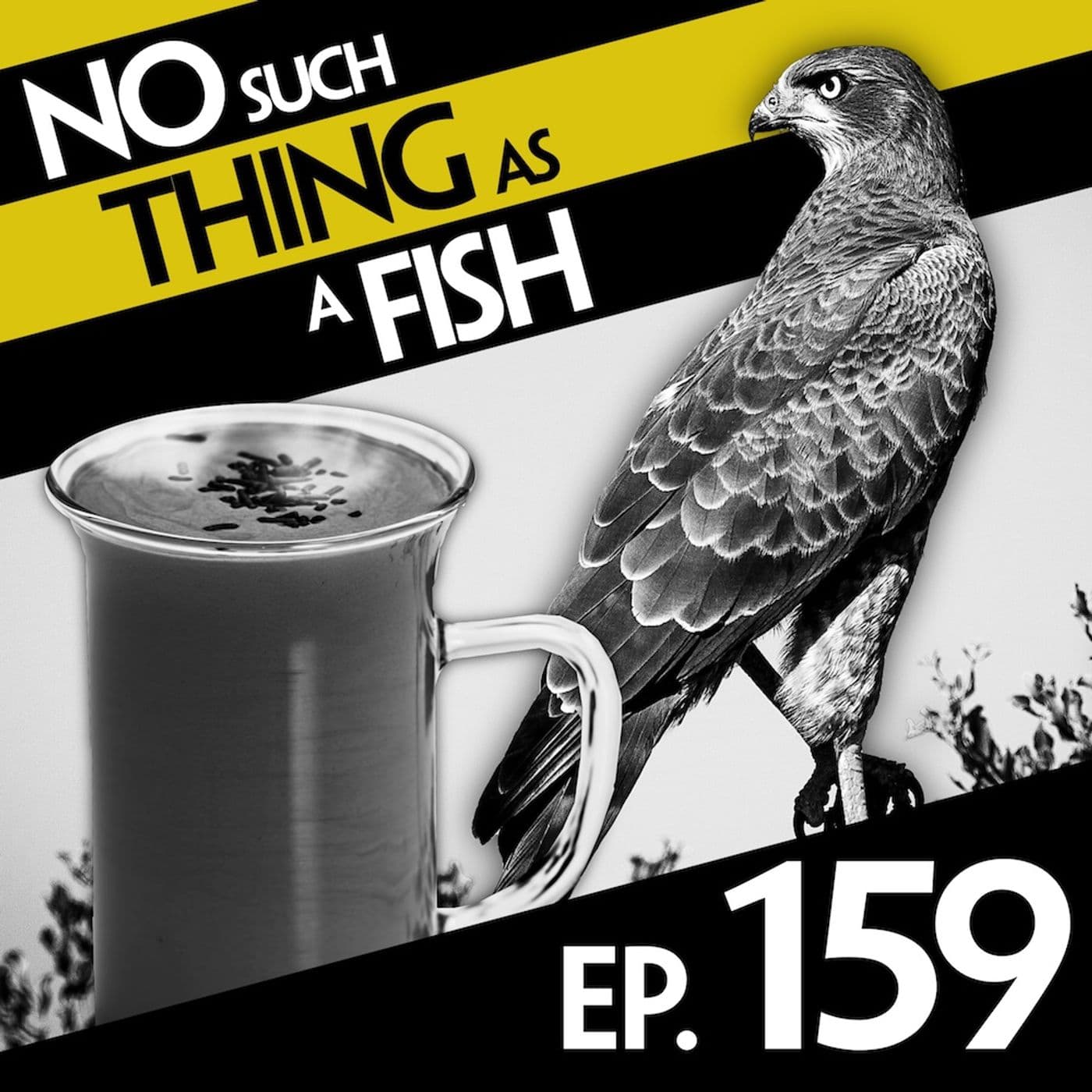 No Such Thing As A Fish podcast cover art