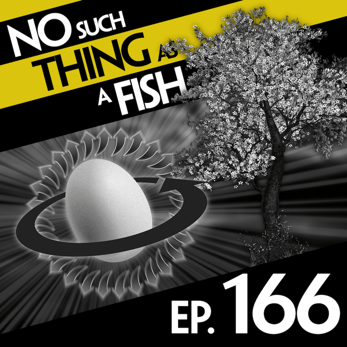 No Such Thing As A Fish podcast cover art