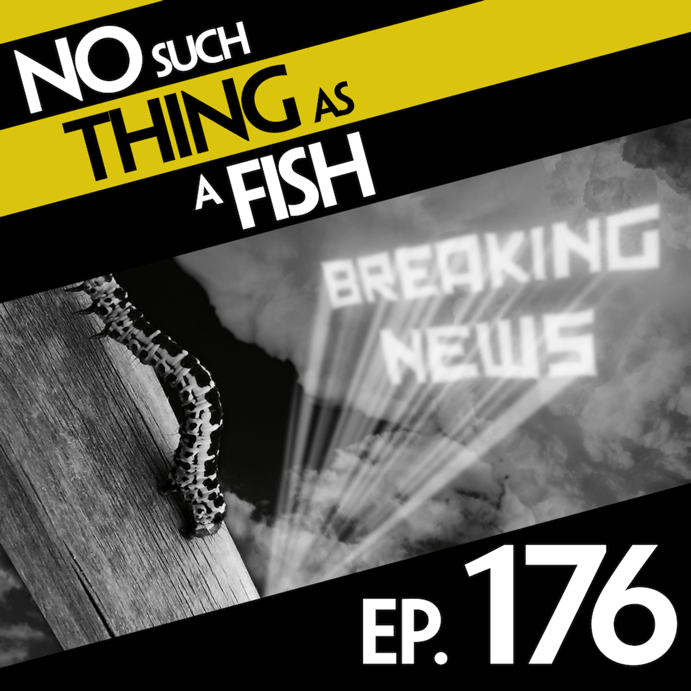 No Such Thing As A Fish podcast cover art