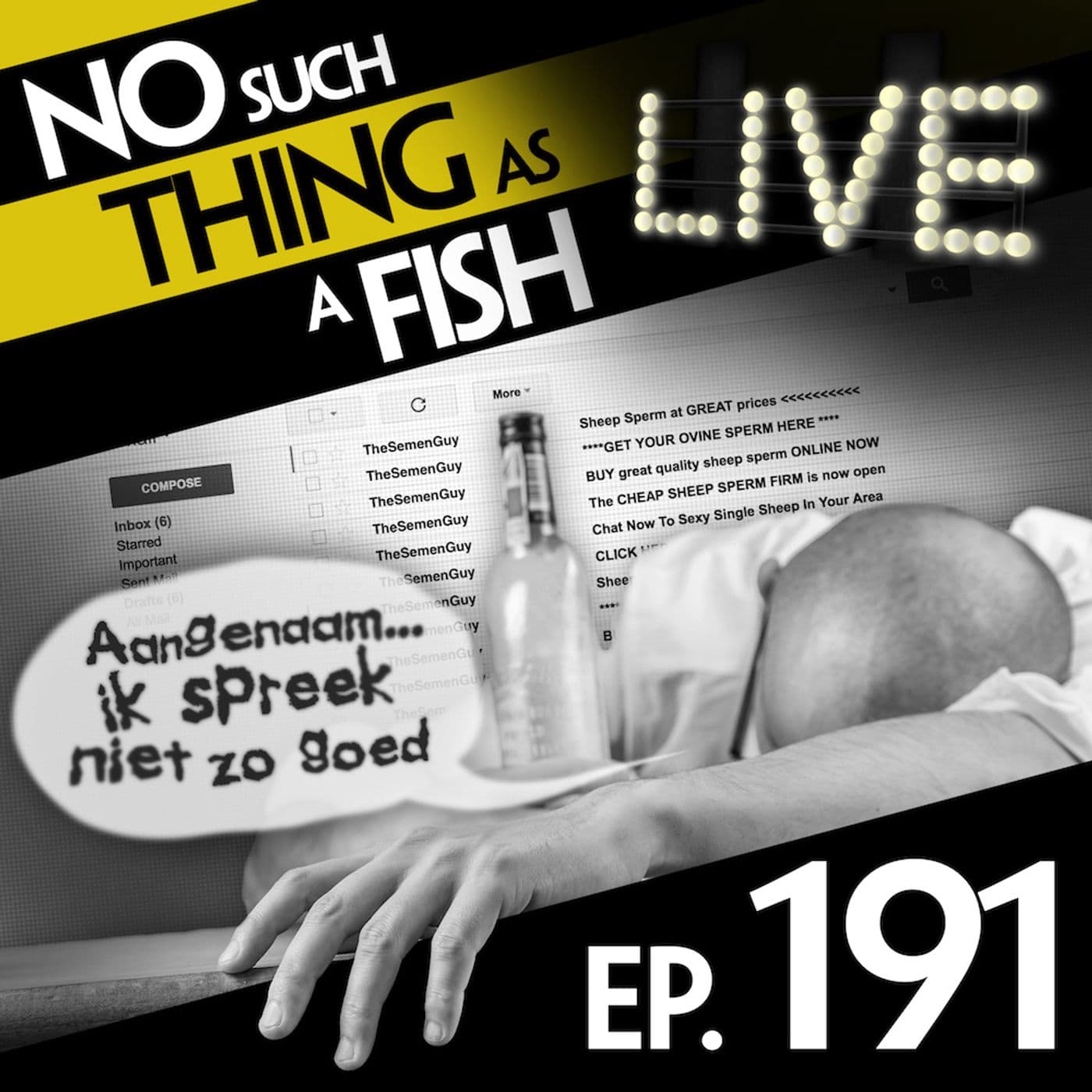 No Such Thing As A Fish podcast cover art