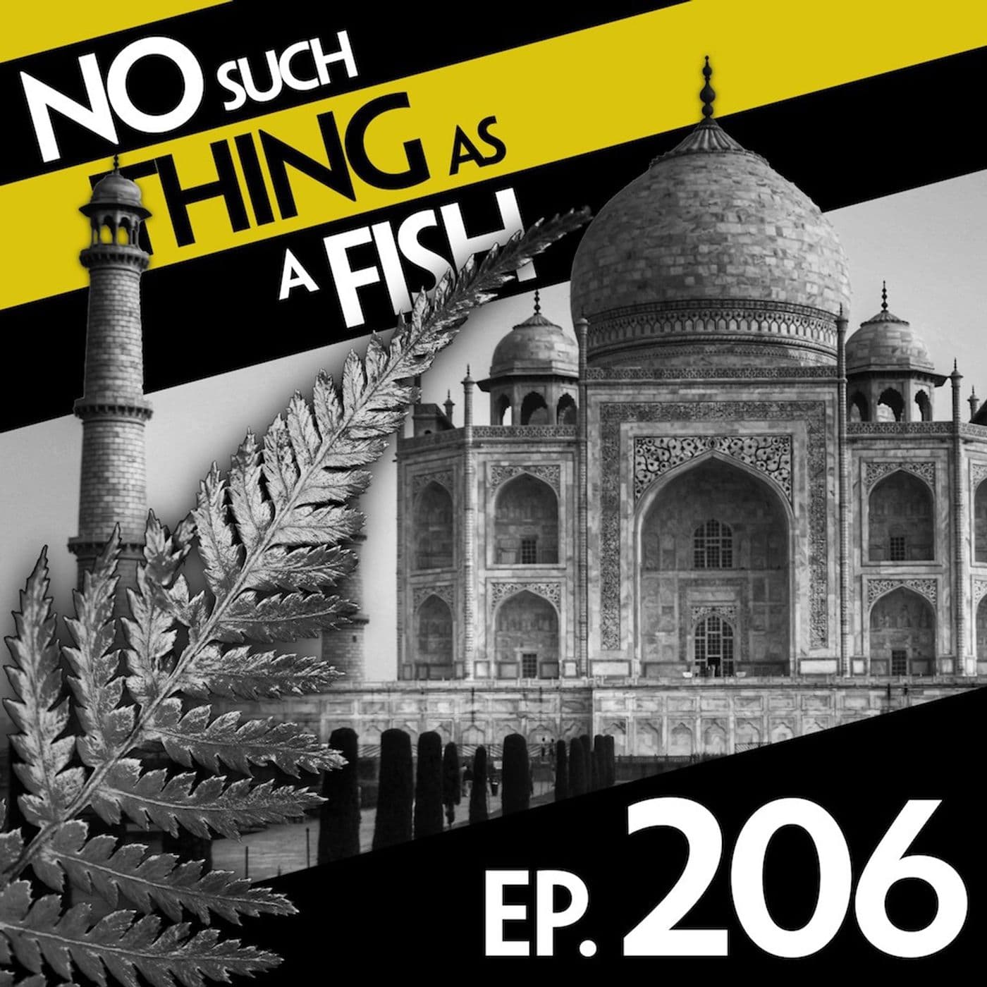 No Such Thing As A Fish podcast cover art