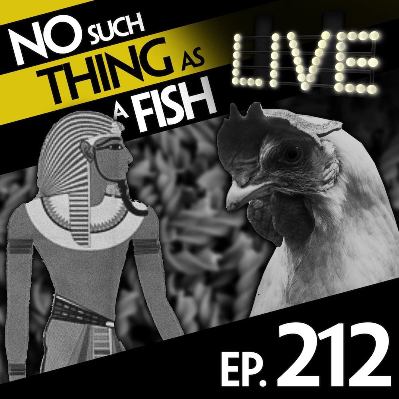 No Such Thing As A Fish podcast cover art
