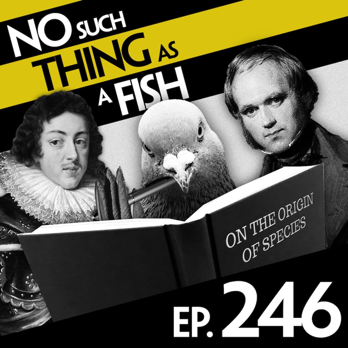 No Such Thing As A Fish podcast cover art