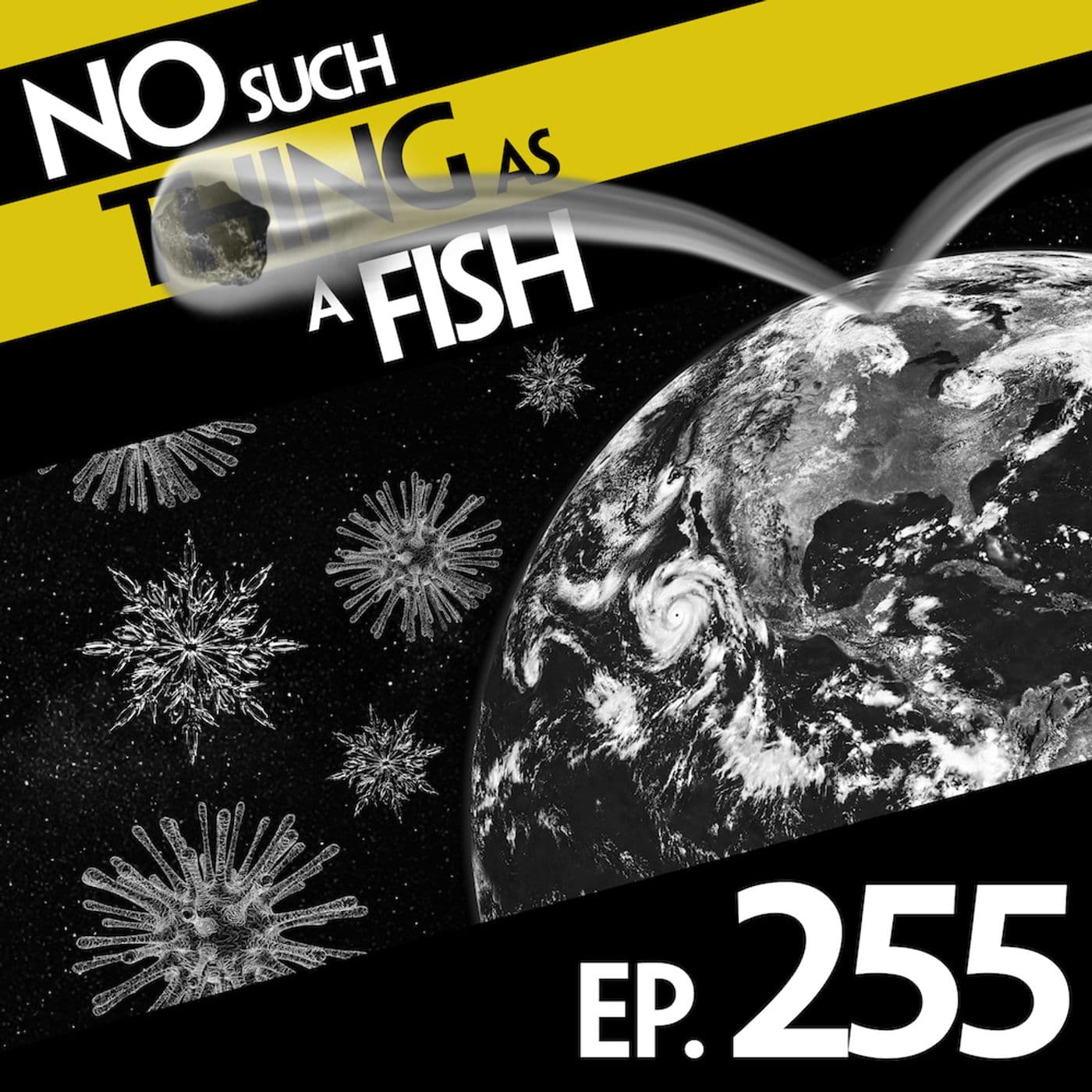 No Such Thing As A Fish podcast cover art