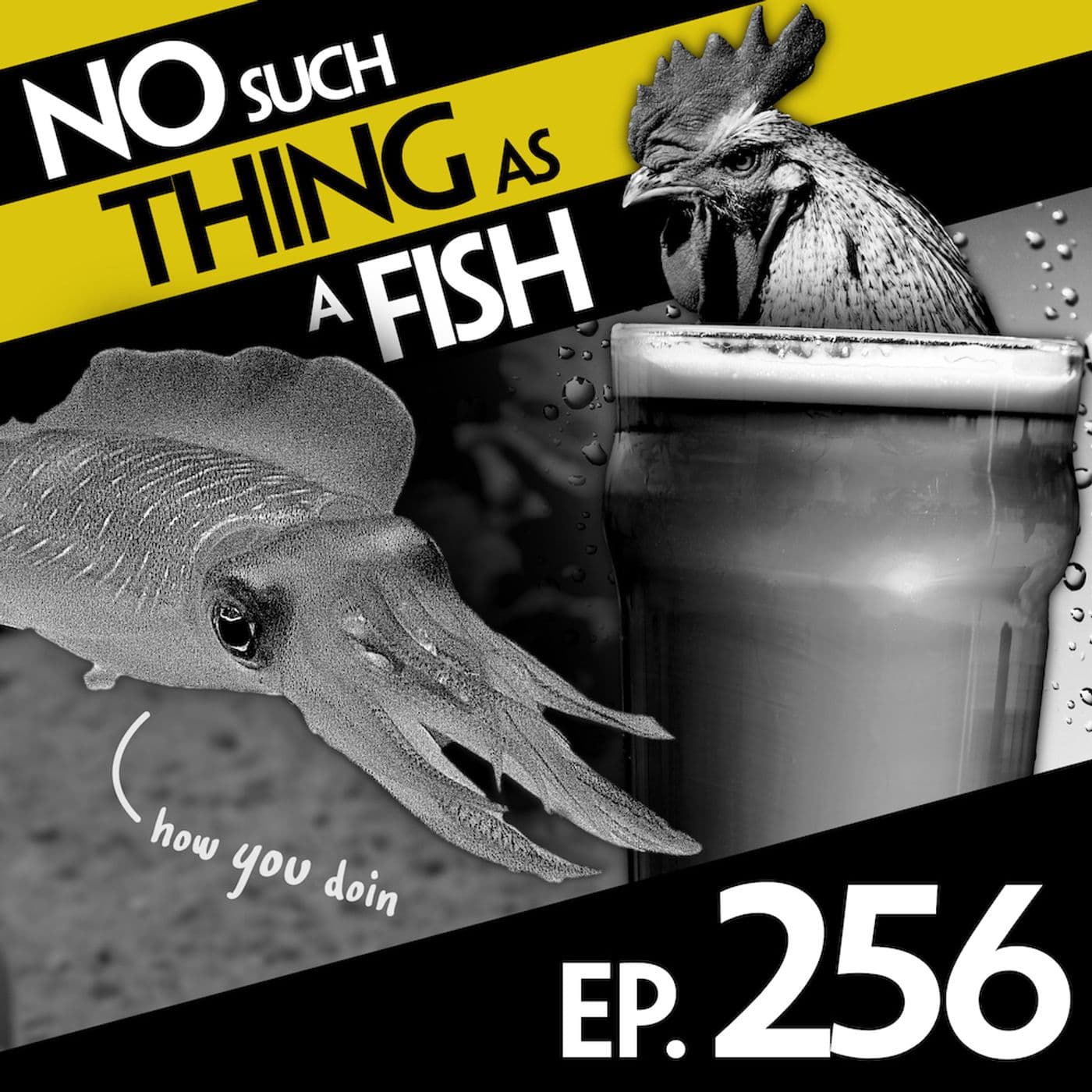 No Such Thing As A Fish podcast cover art