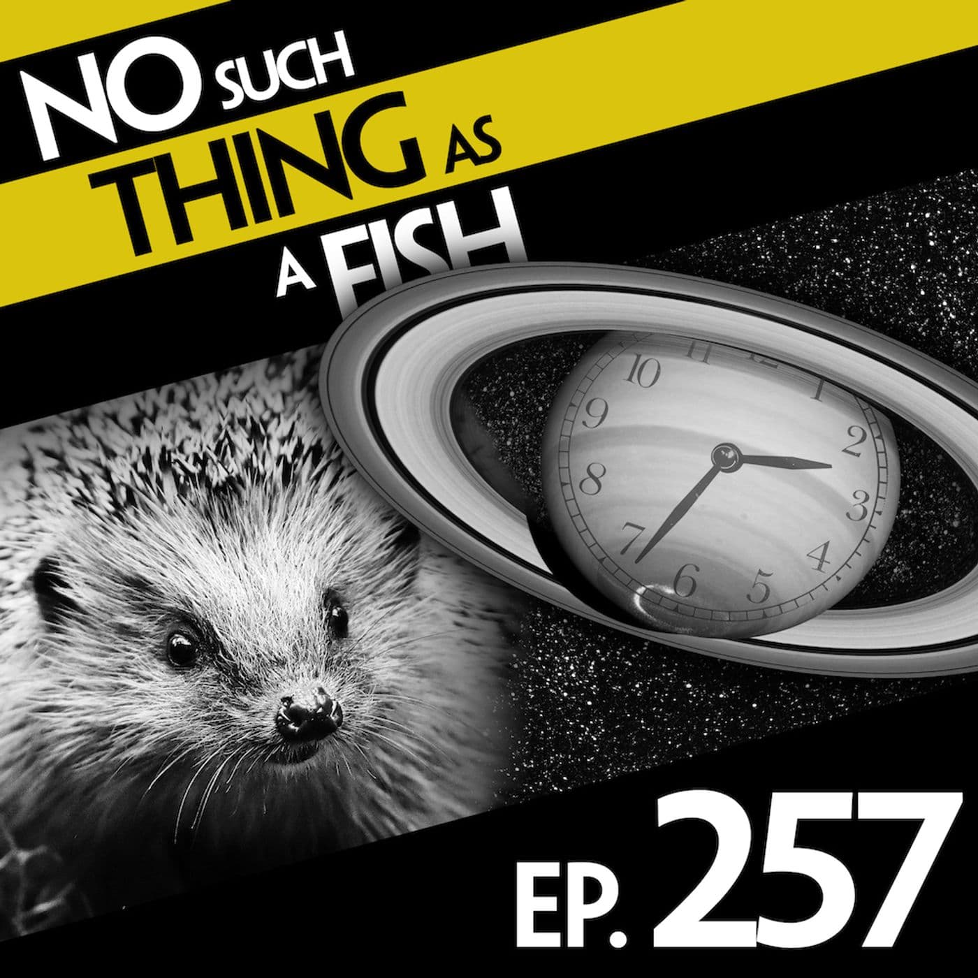 No Such Thing As A Fish podcast cover art