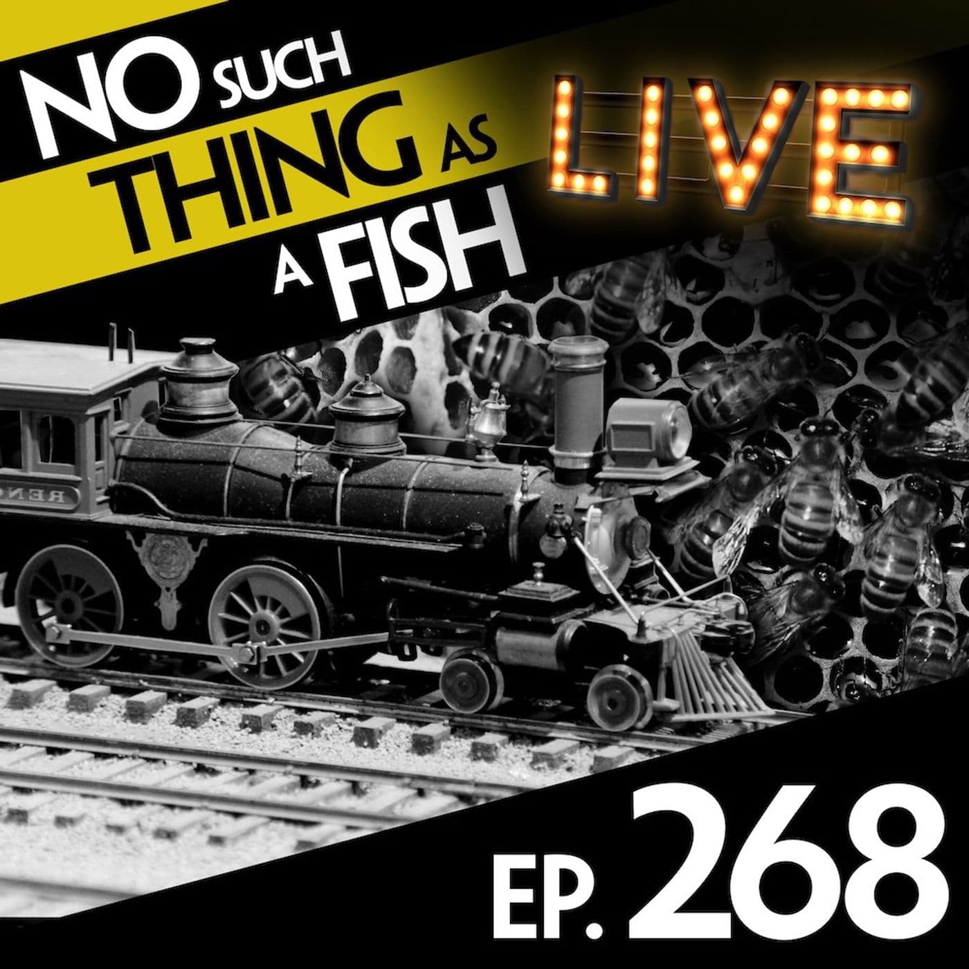 No Such Thing As A Fish podcast cover art