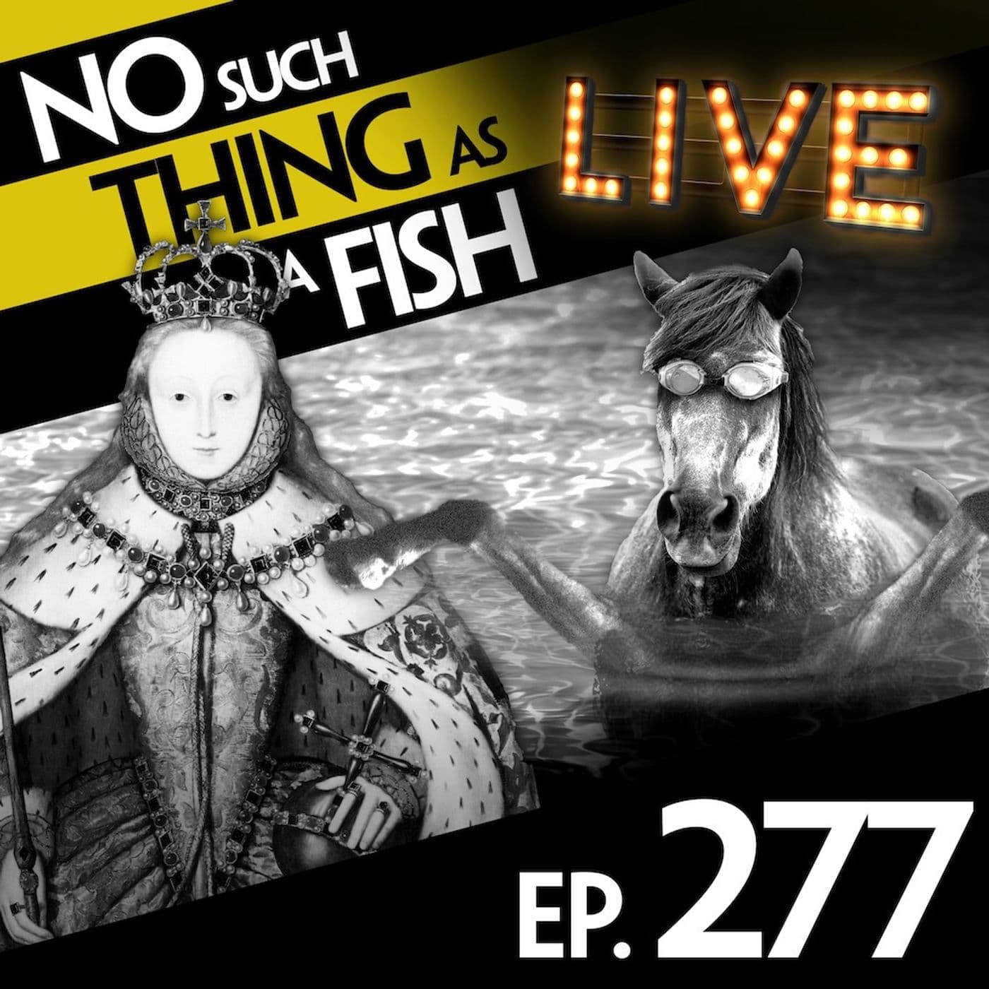 No Such Thing As A Fish podcast cover art