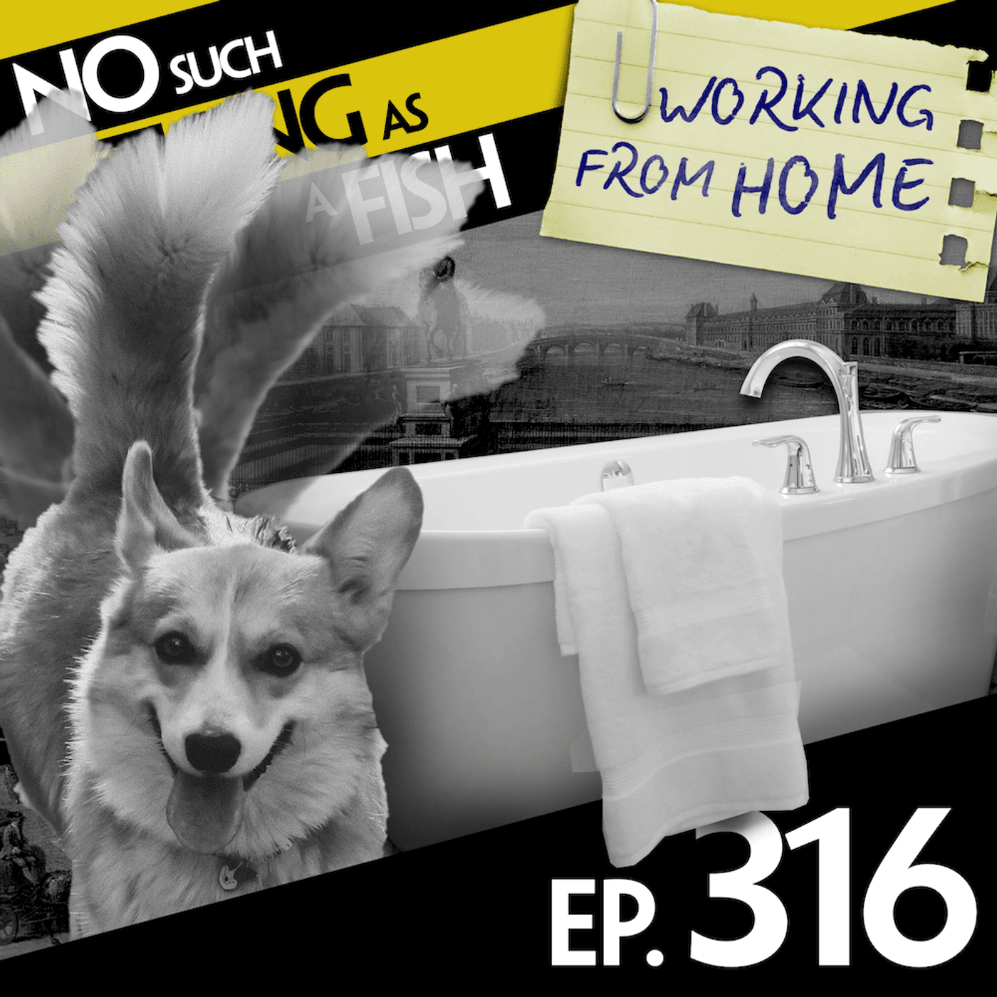 No Such Thing As A Fish podcast cover art
