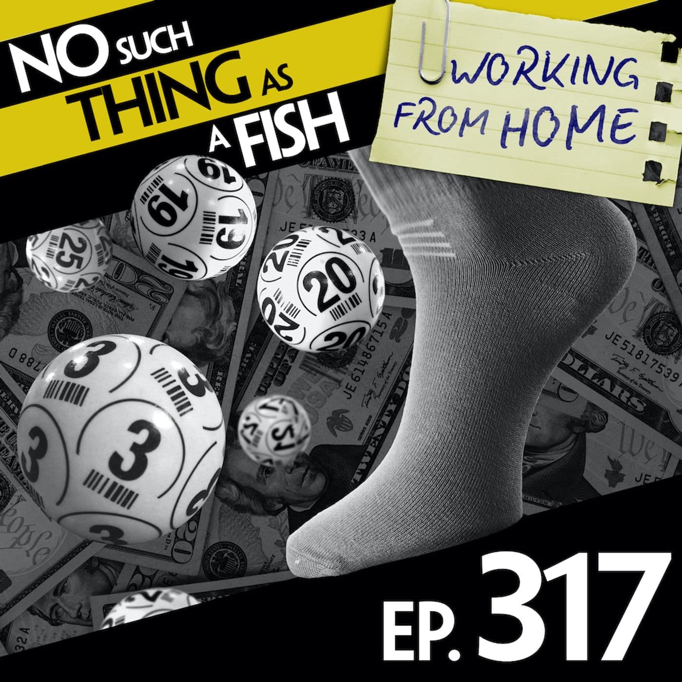 No Such Thing As A Fish podcast cover art