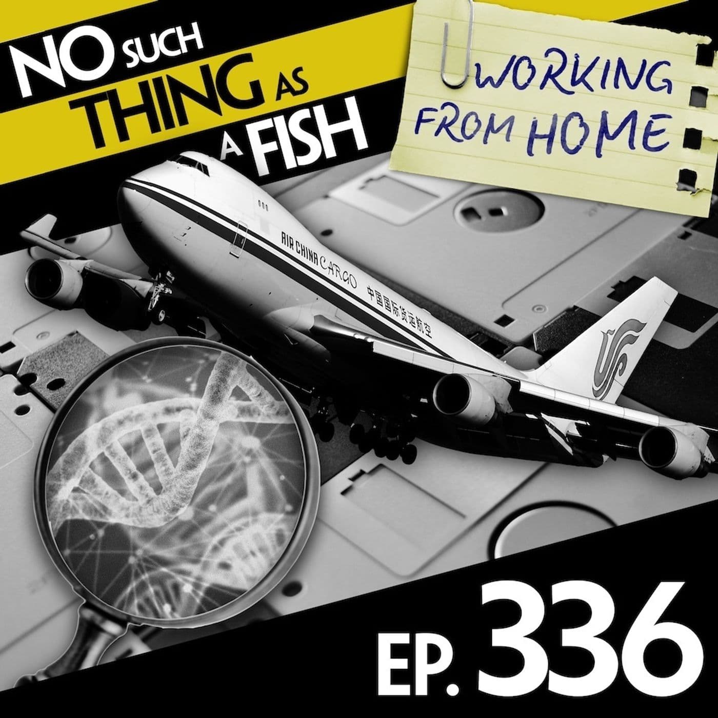 No Such Thing As A Fish podcast cover art