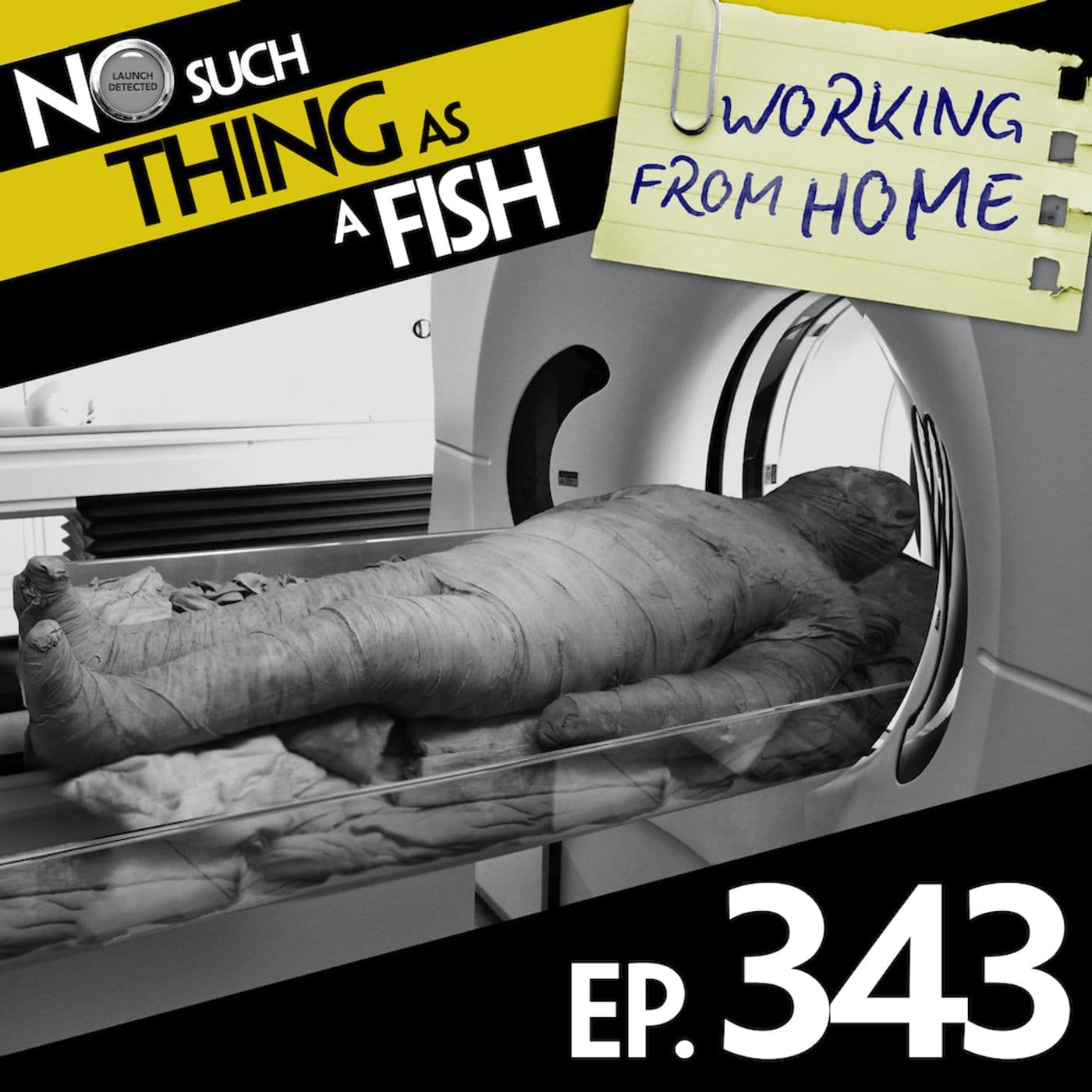 No Such Thing As A Fish podcast cover art