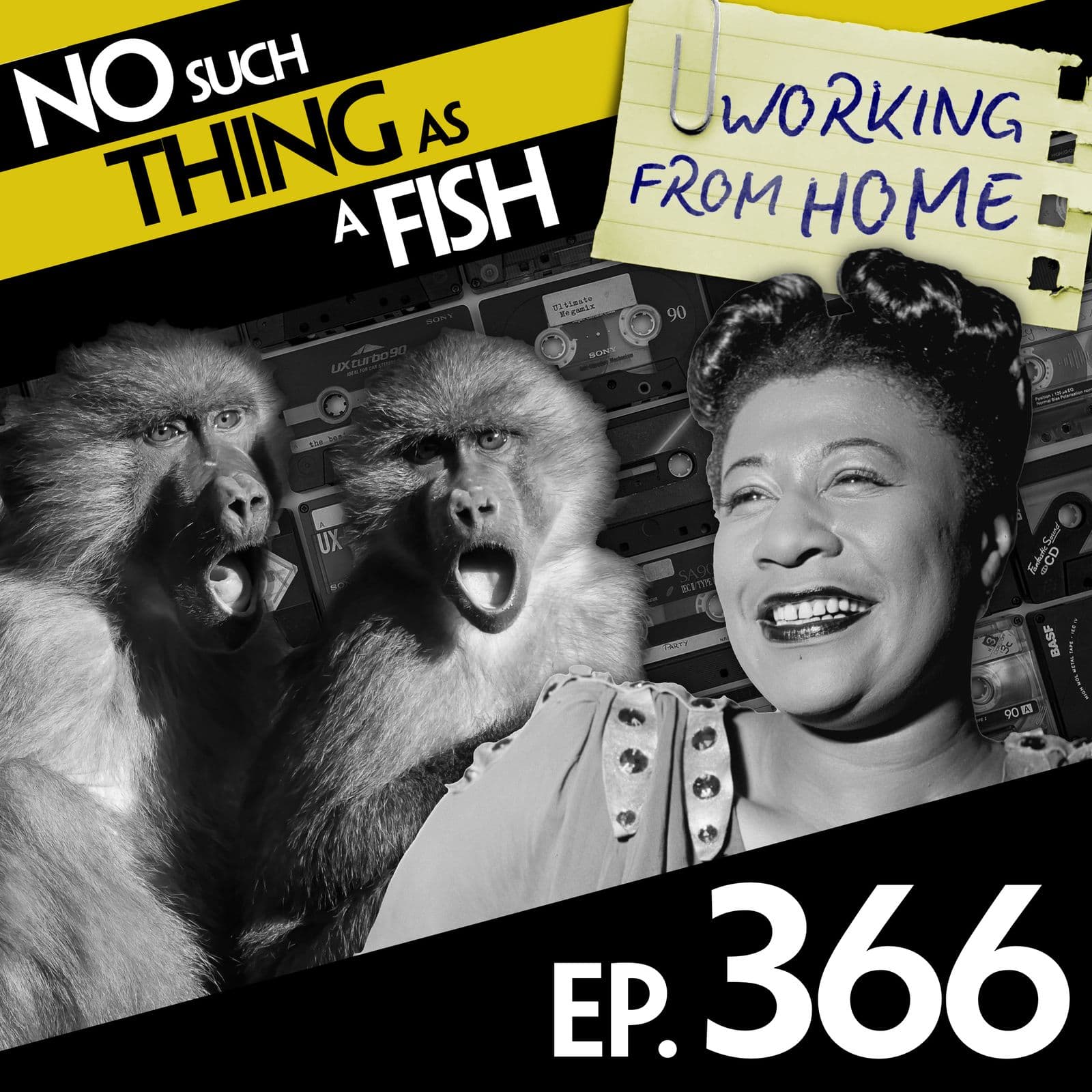 No Such Thing As A Fish podcast cover art