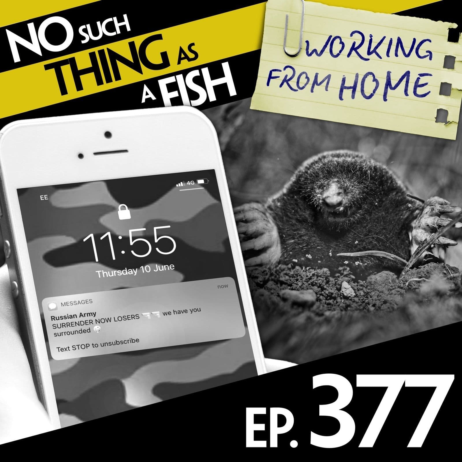 No Such Thing As A Fish podcast cover art