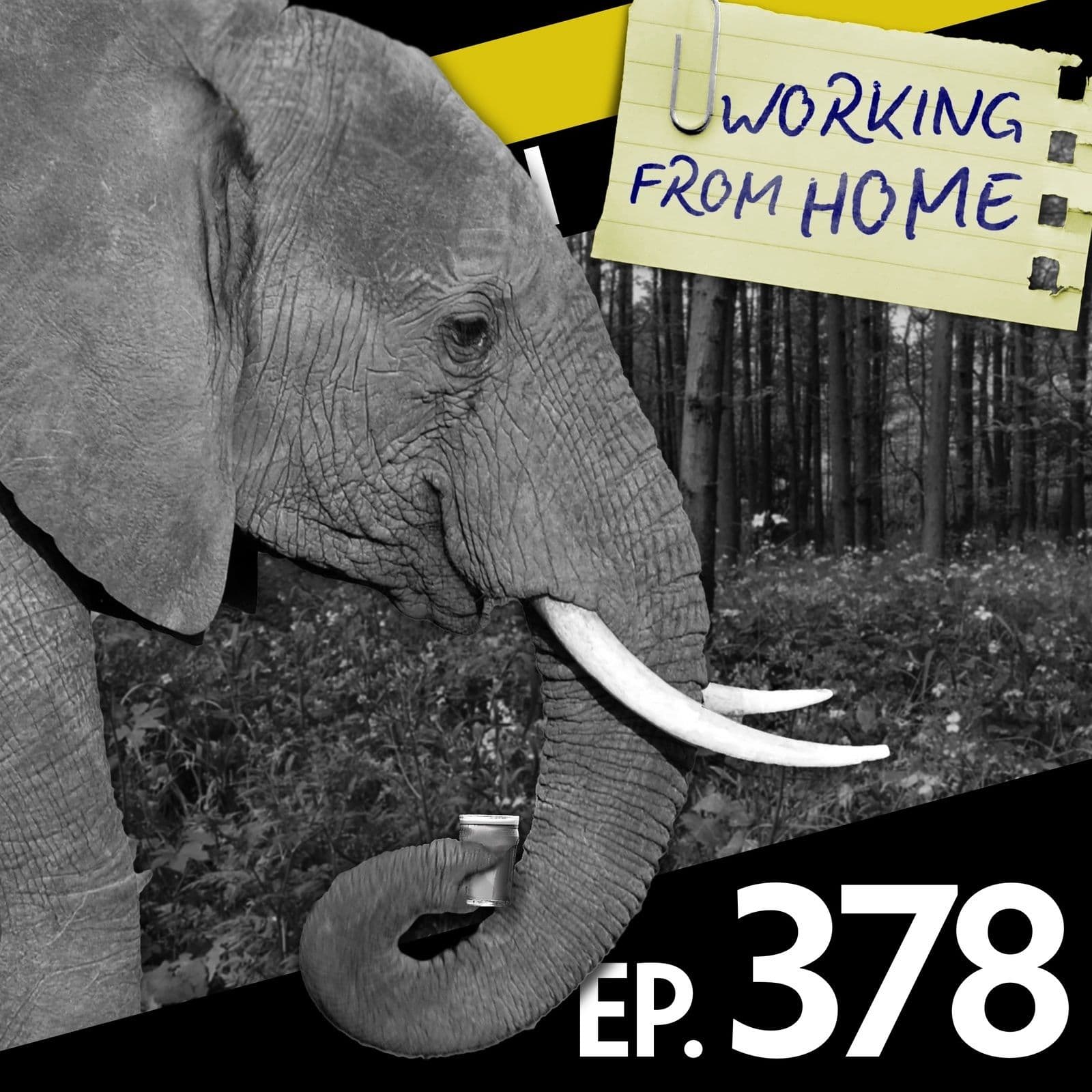No Such Thing As A Fish podcast cover art