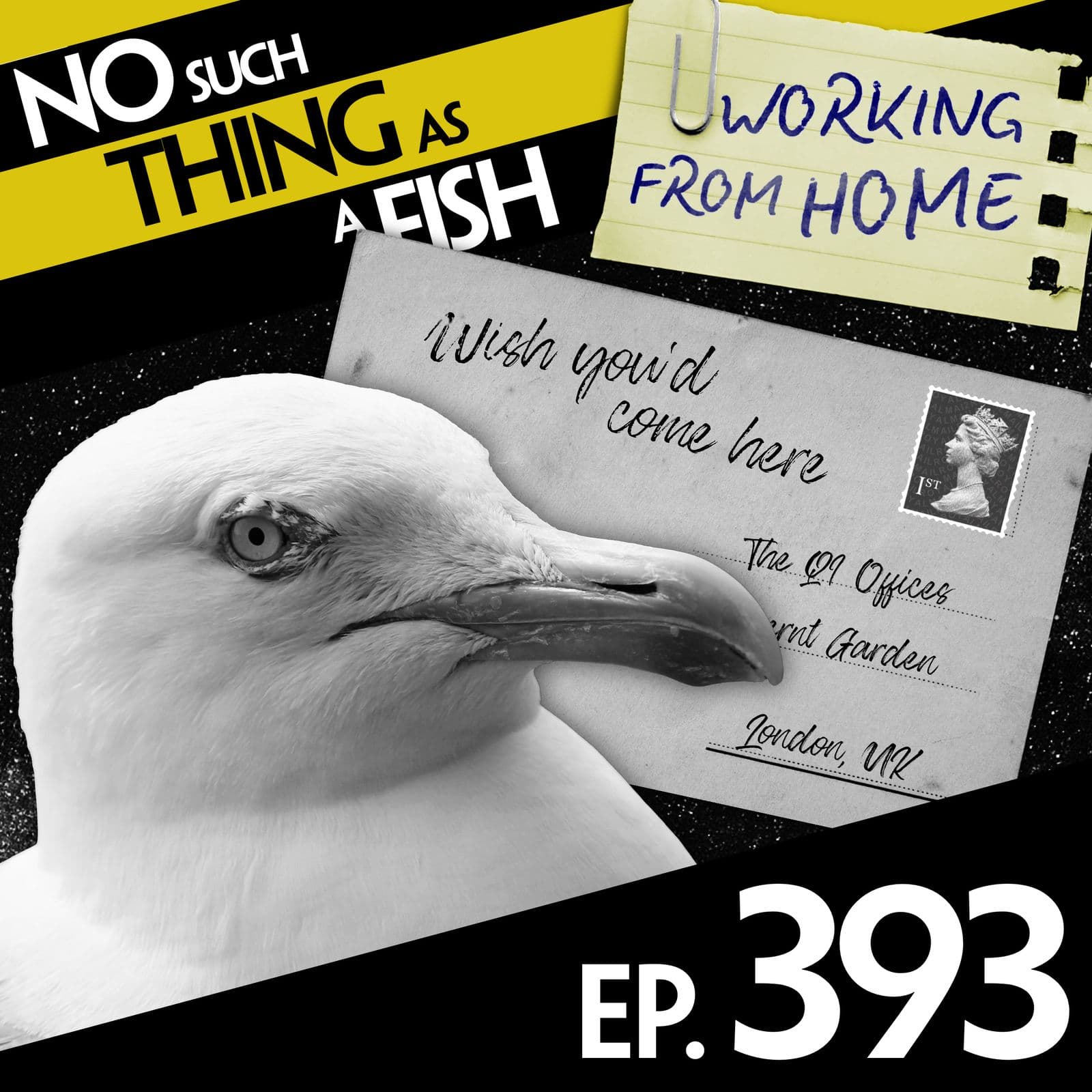 No Such Thing As A Fish podcast cover art