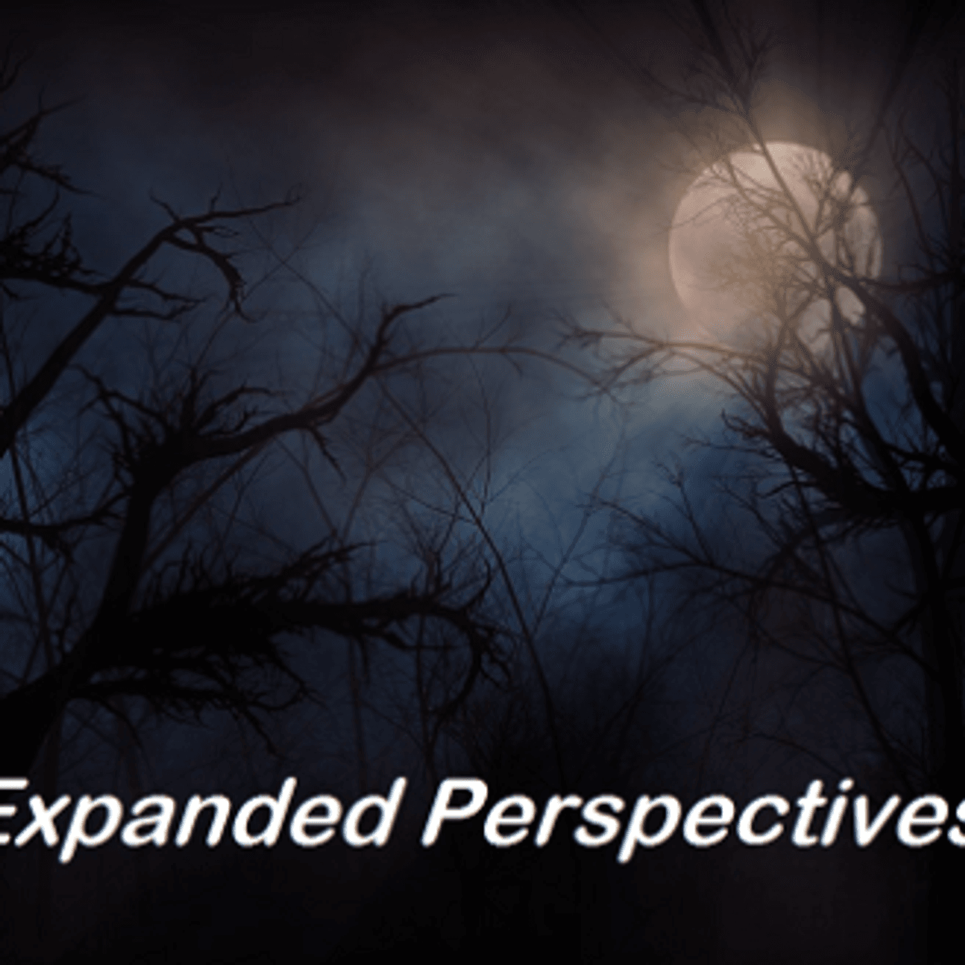 Expanded Perspectives podcast cover art