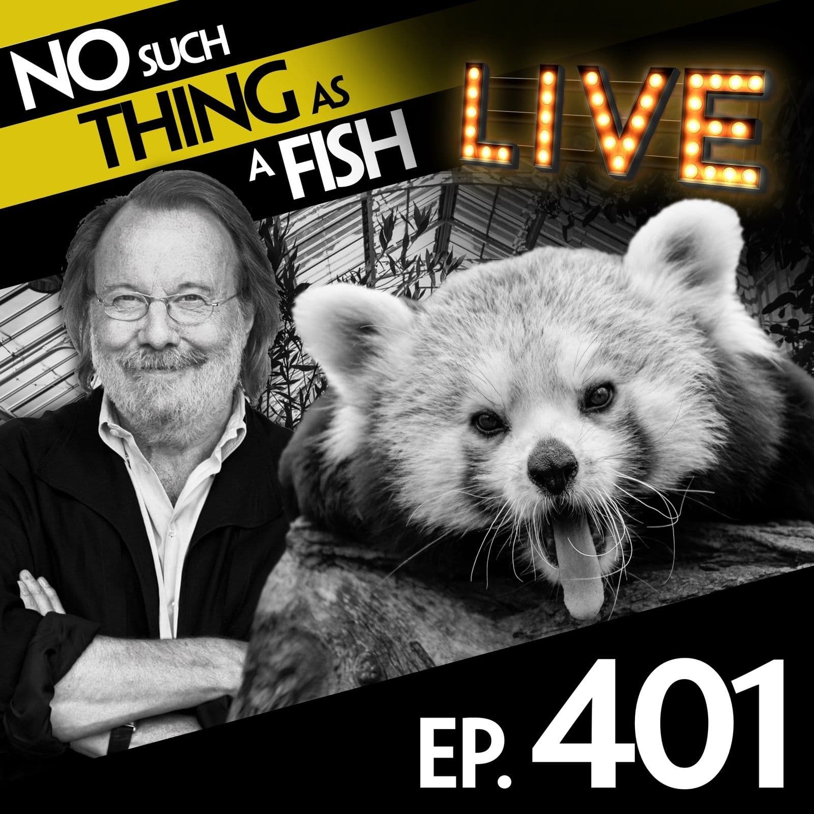 No Such Thing As A Fish podcast cover art