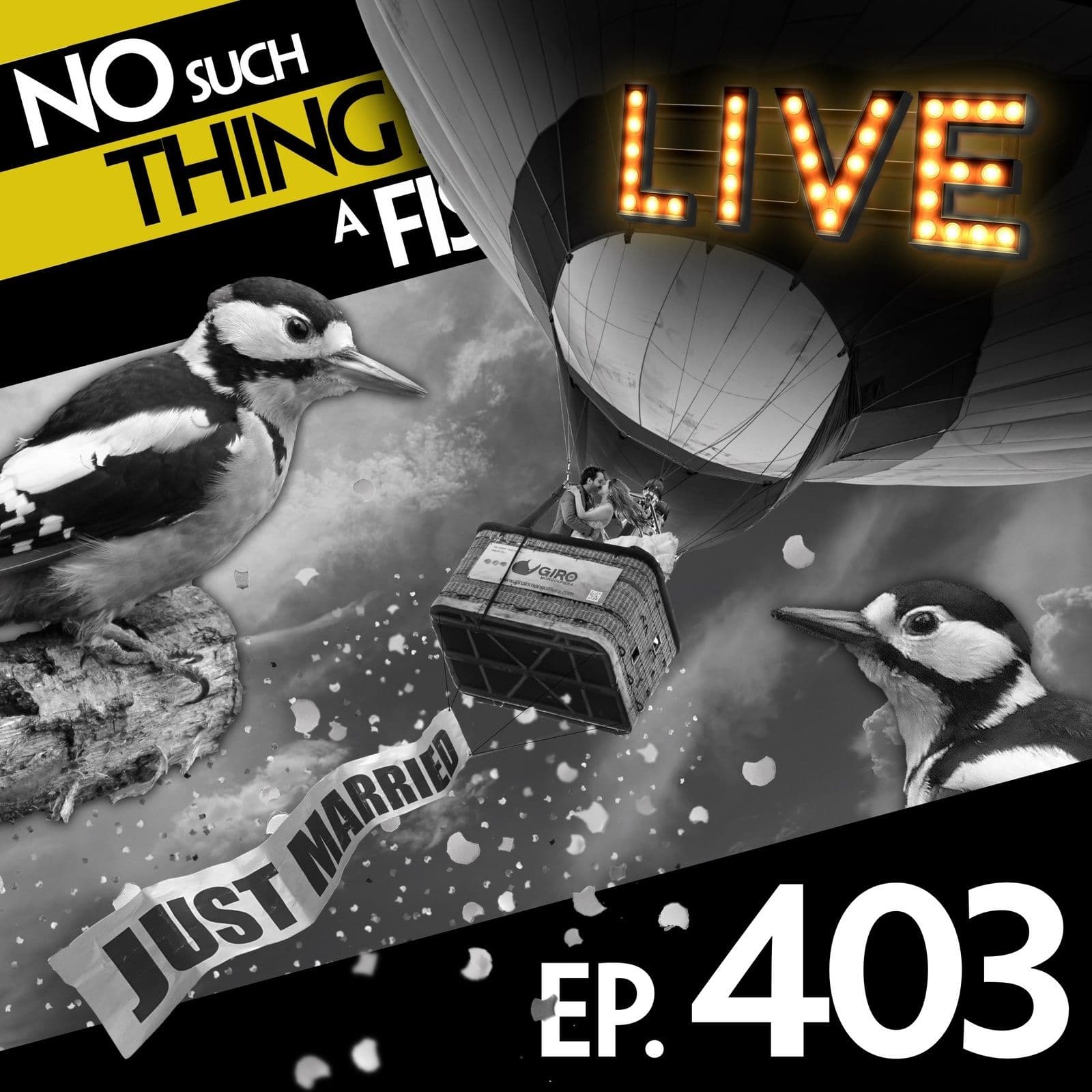 No Such Thing As A Fish podcast cover art