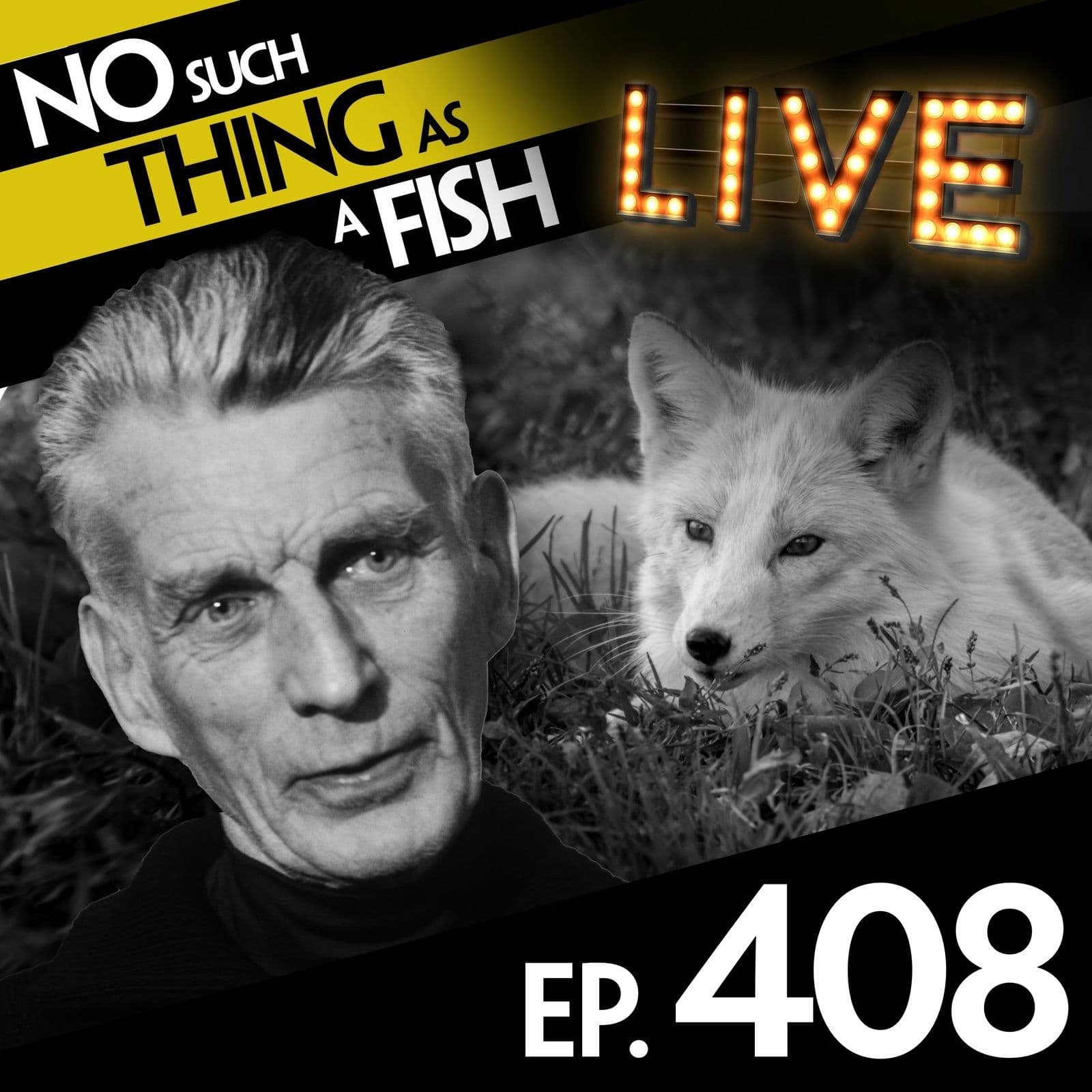 No Such Thing As A Fish podcast cover art