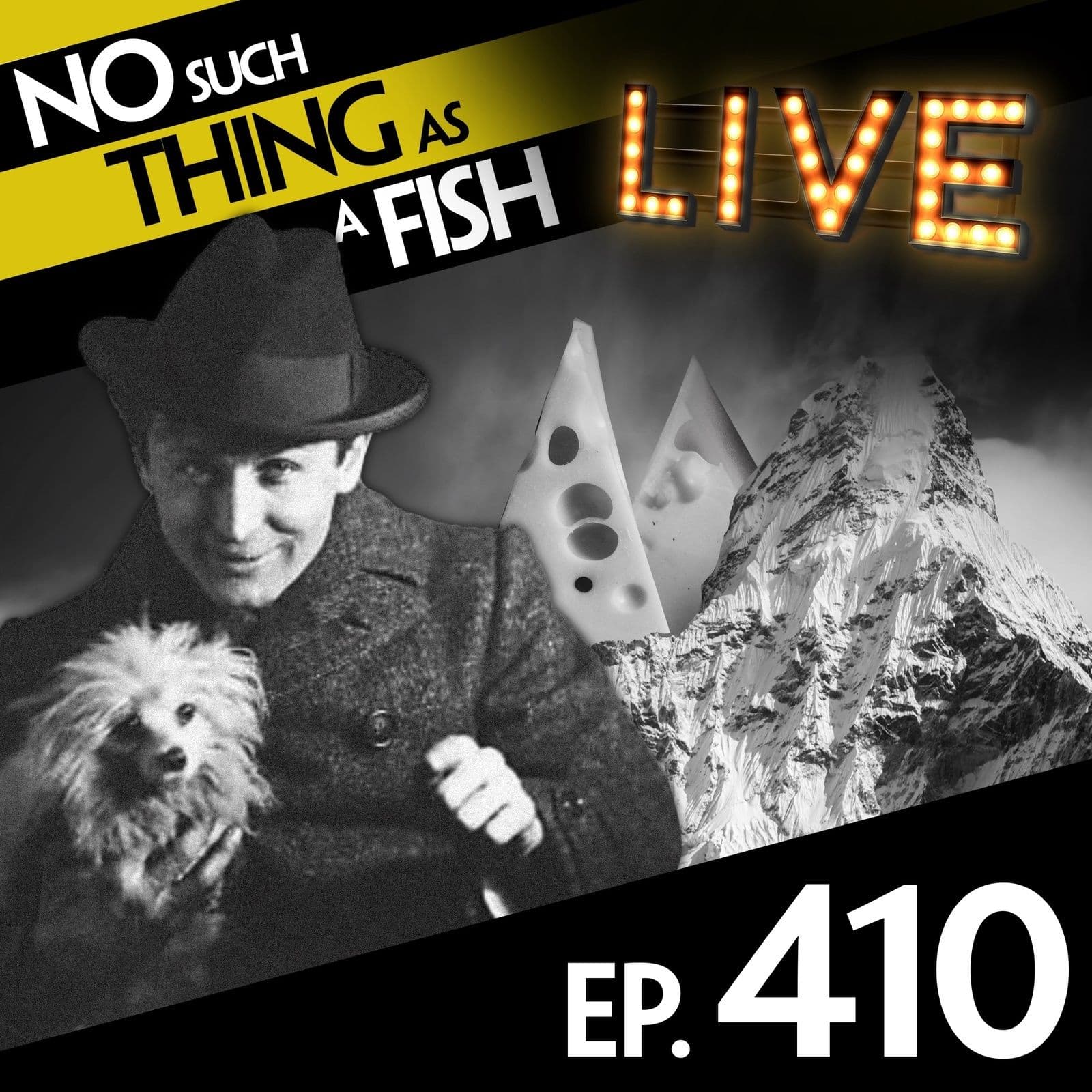 No Such Thing As A Fish podcast cover art