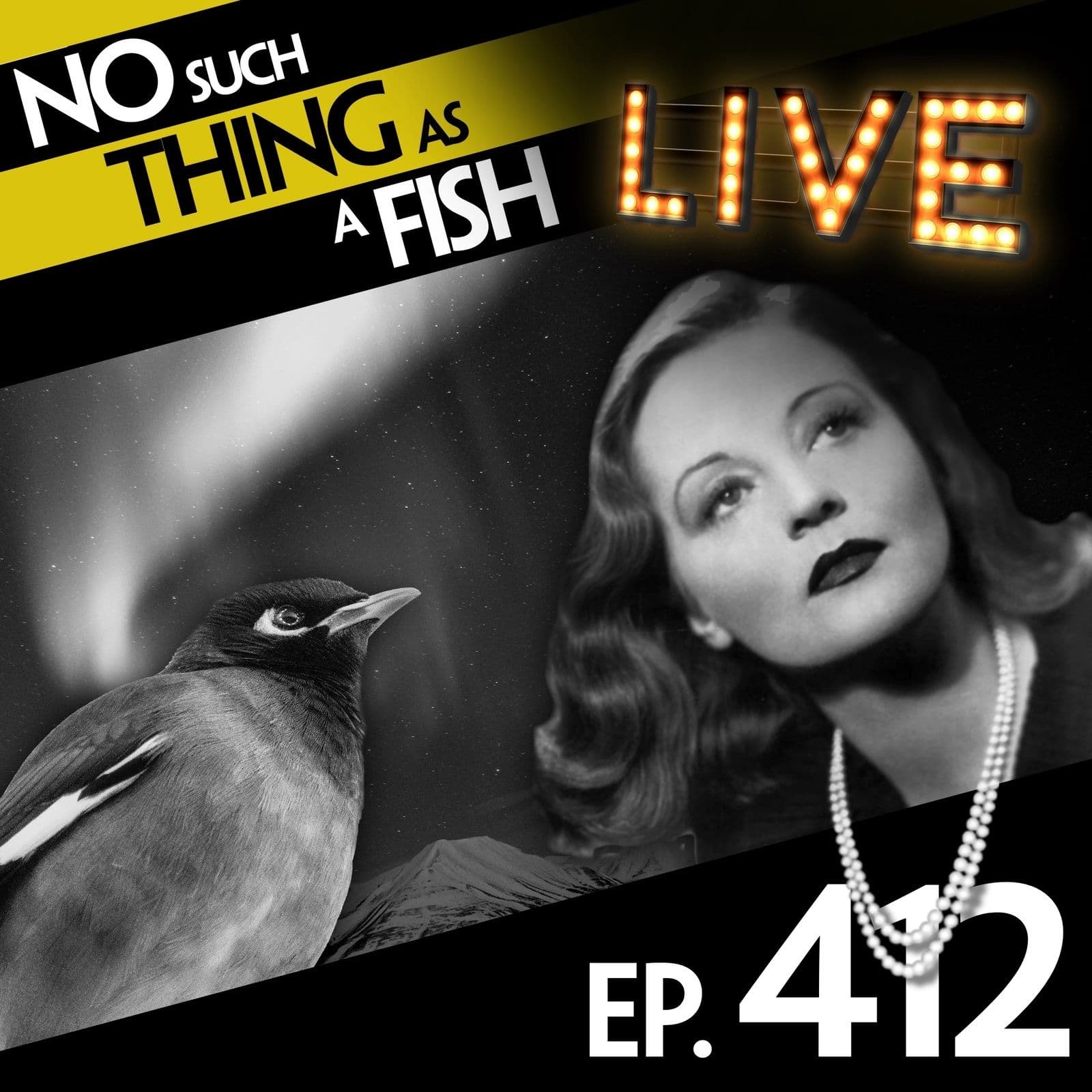 No Such Thing As A Fish podcast cover art
