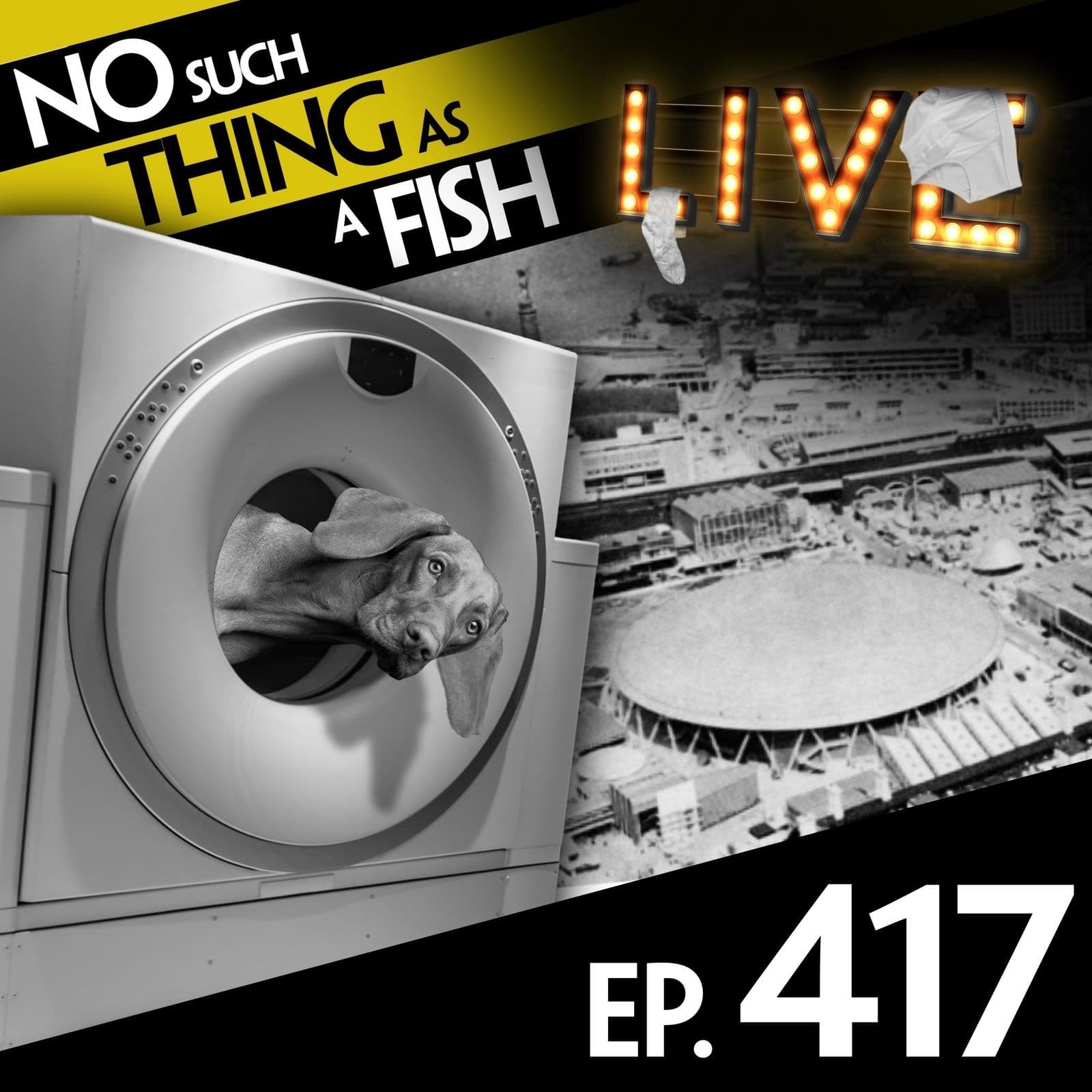 No Such Thing As A Fish podcast cover art