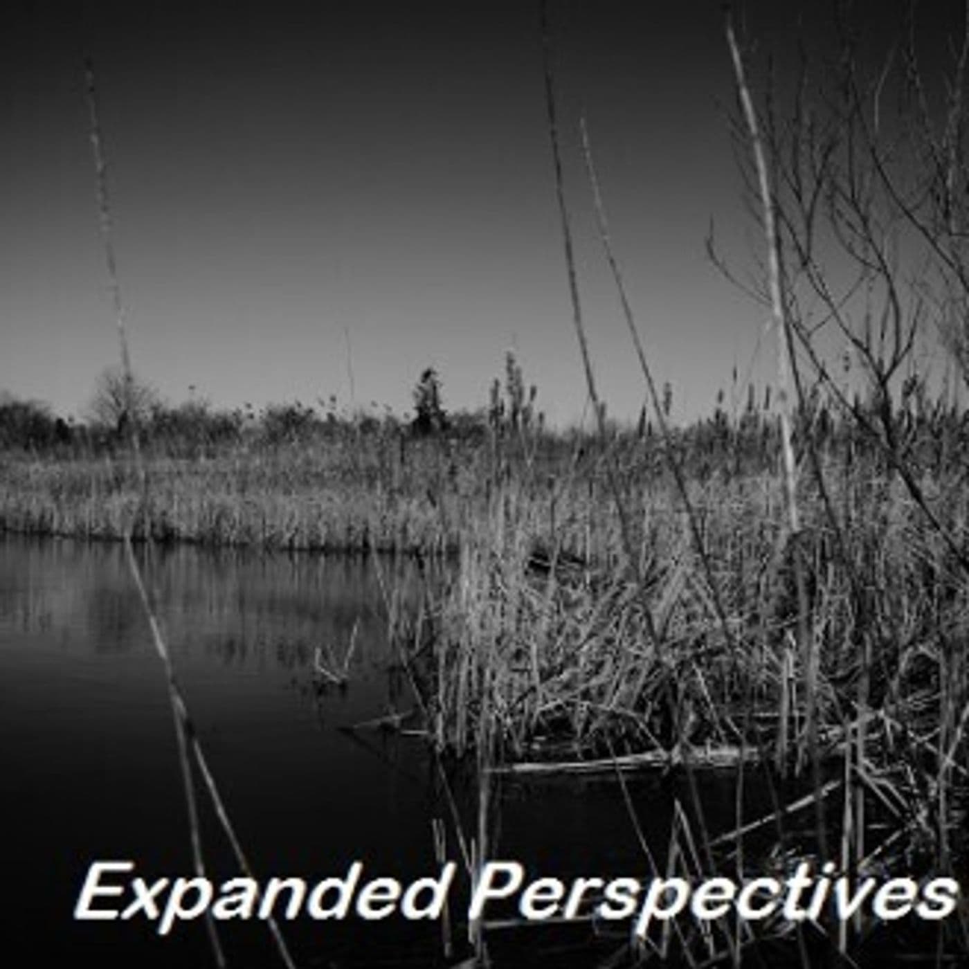 Expanded Perspectives podcast cover art