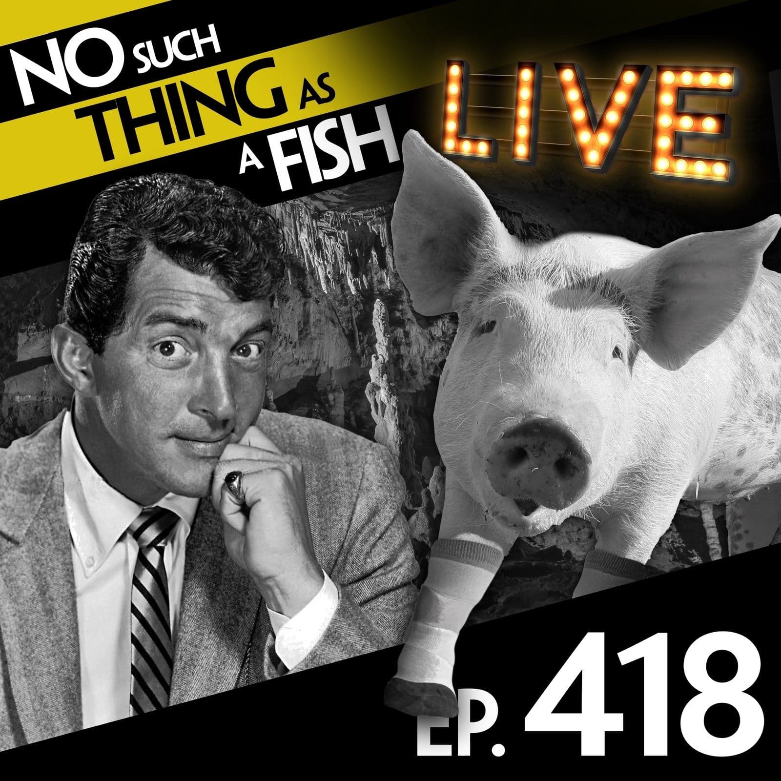 No Such Thing As A Fish podcast cover art