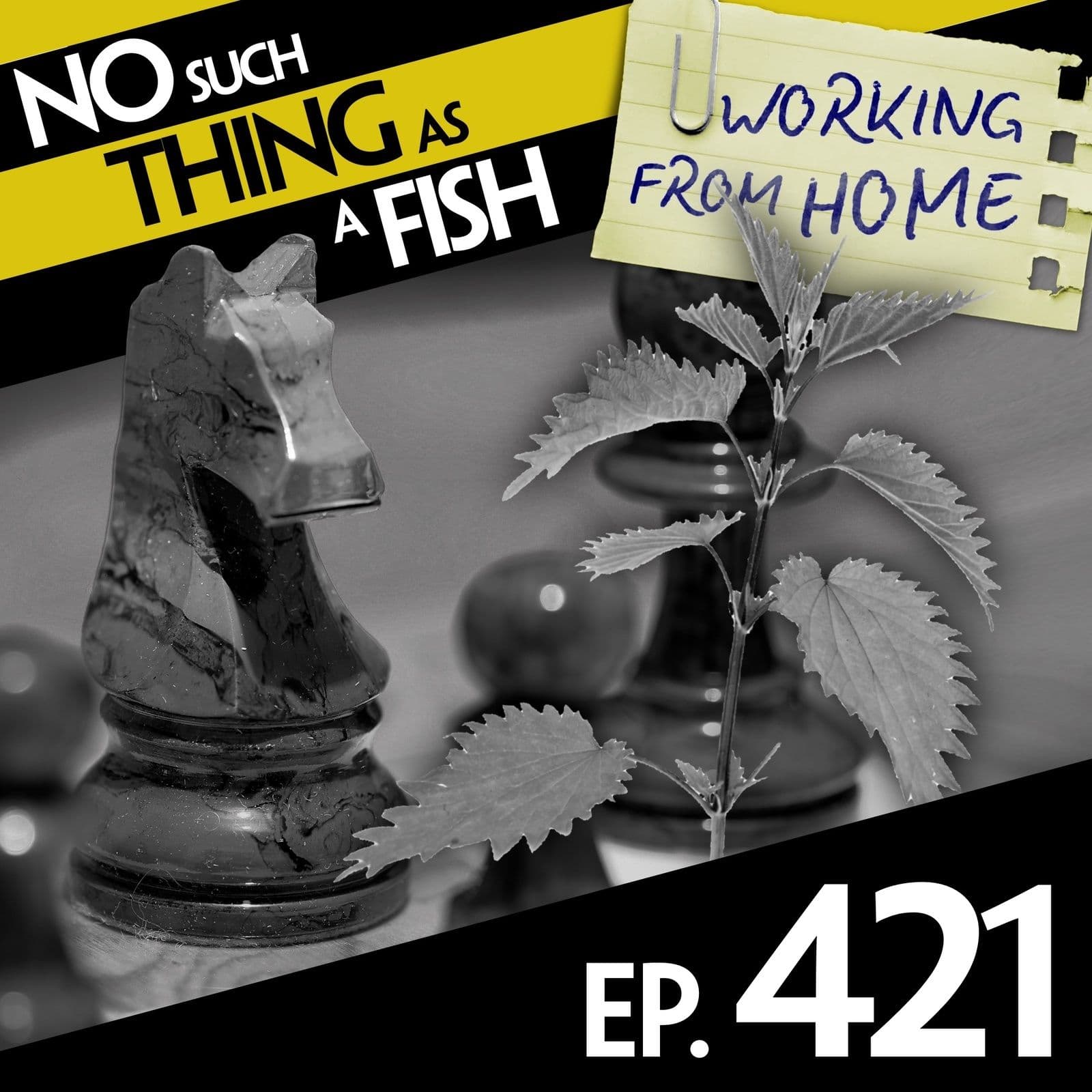 No Such Thing As A Fish podcast cover art