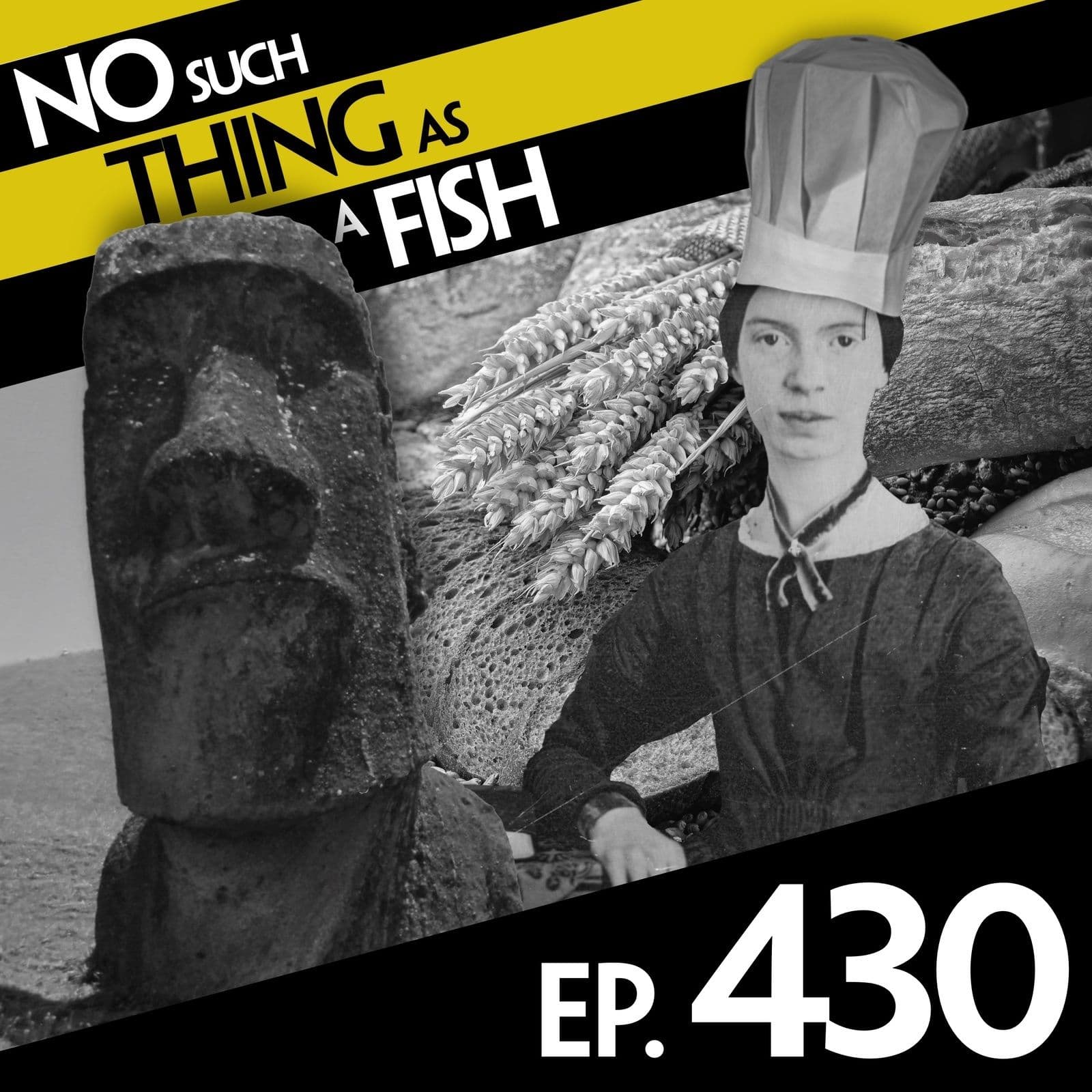 No Such Thing As A Fish podcast cover art
