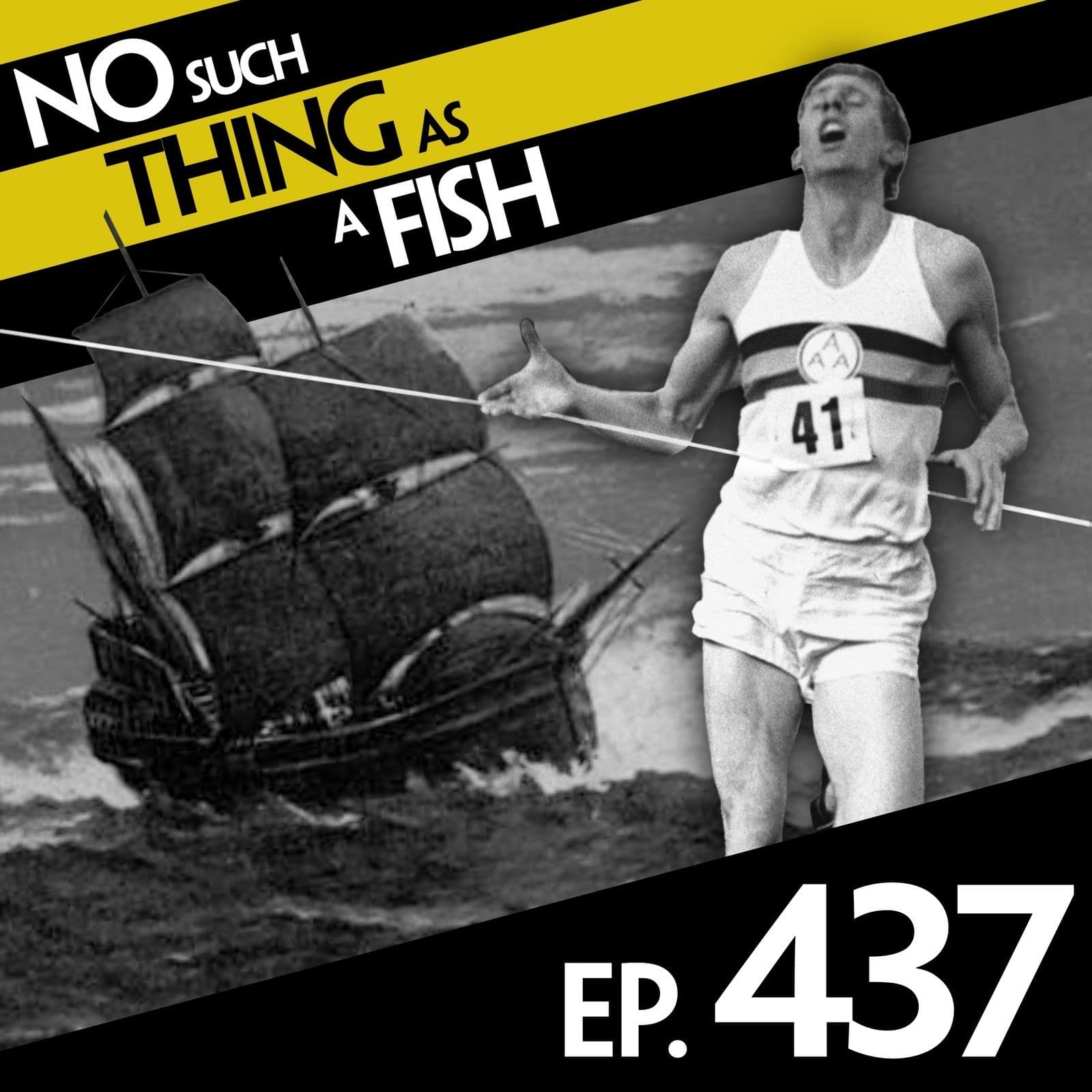 No Such Thing As A Fish podcast cover art