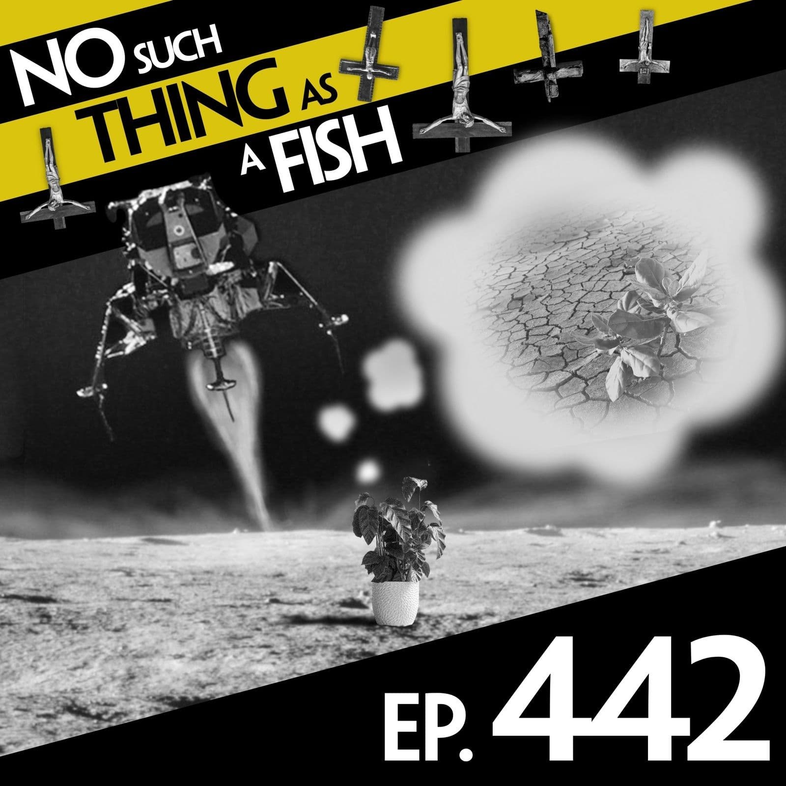 No Such Thing As A Fish podcast cover art