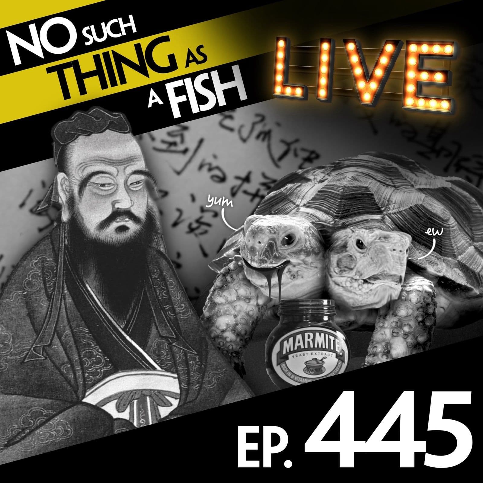 No Such Thing As A Fish podcast cover art