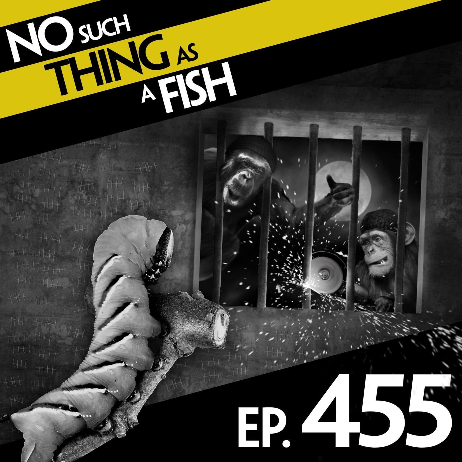 No Such Thing As A Fish podcast cover art