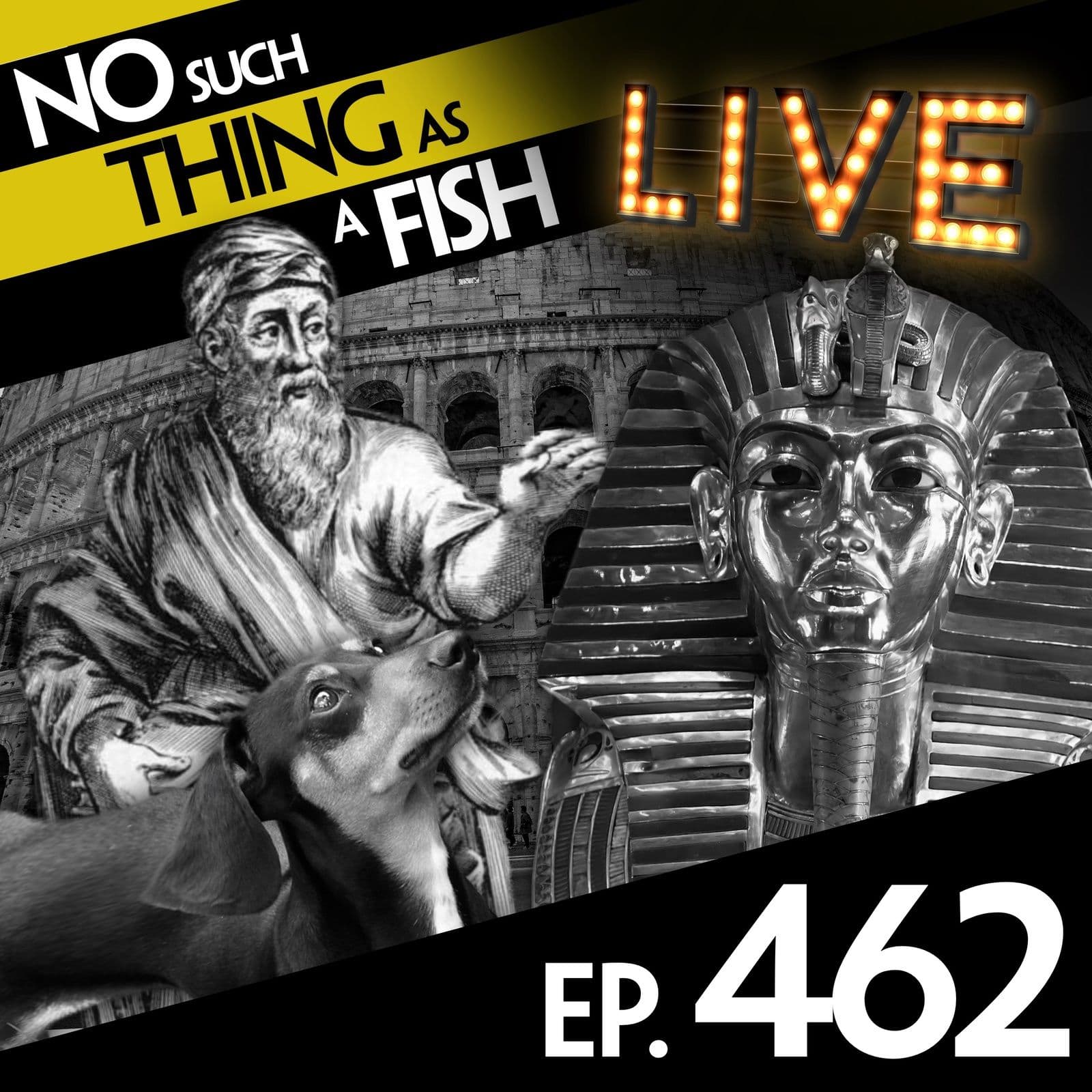 No Such Thing As A Fish podcast cover art