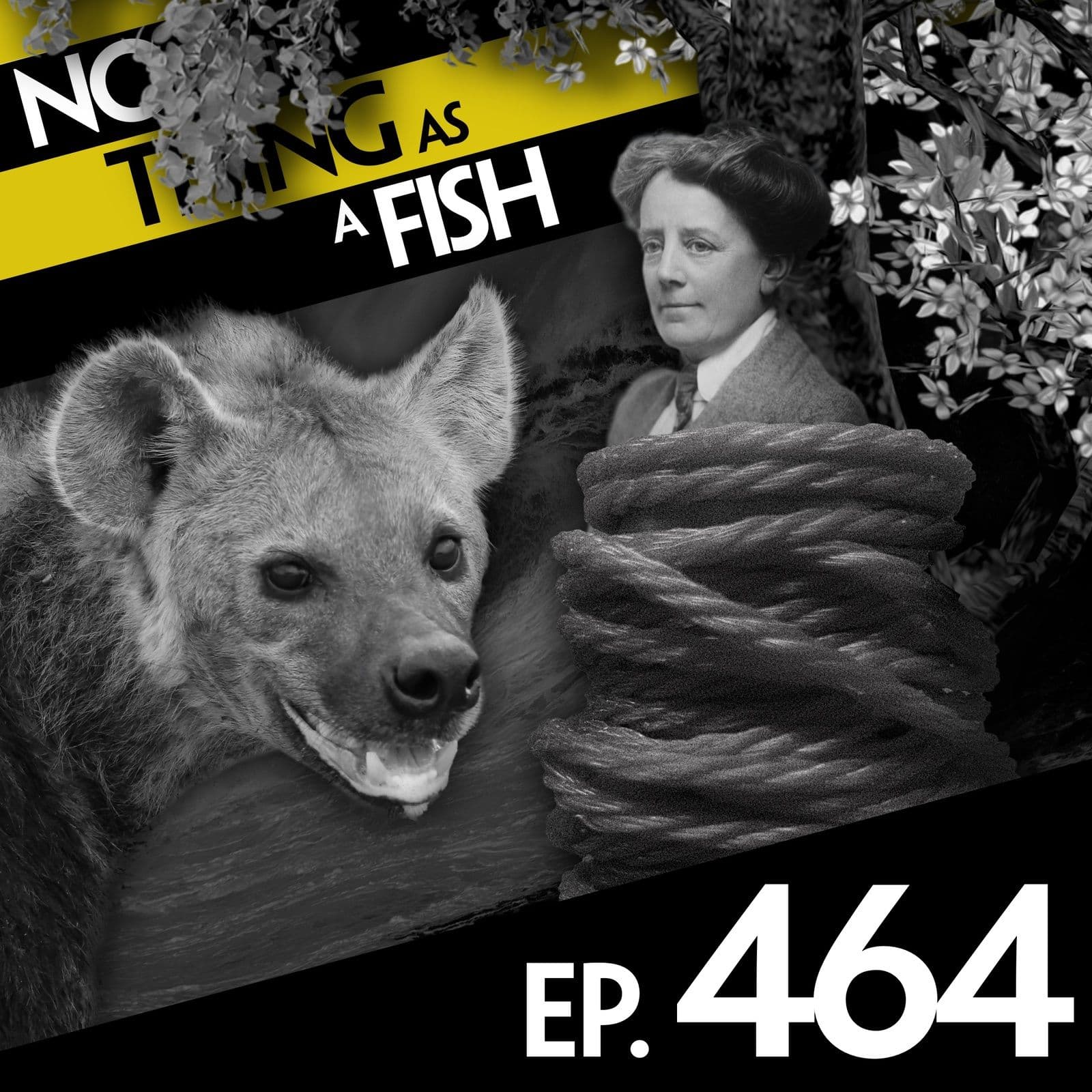No Such Thing As A Fish podcast cover art