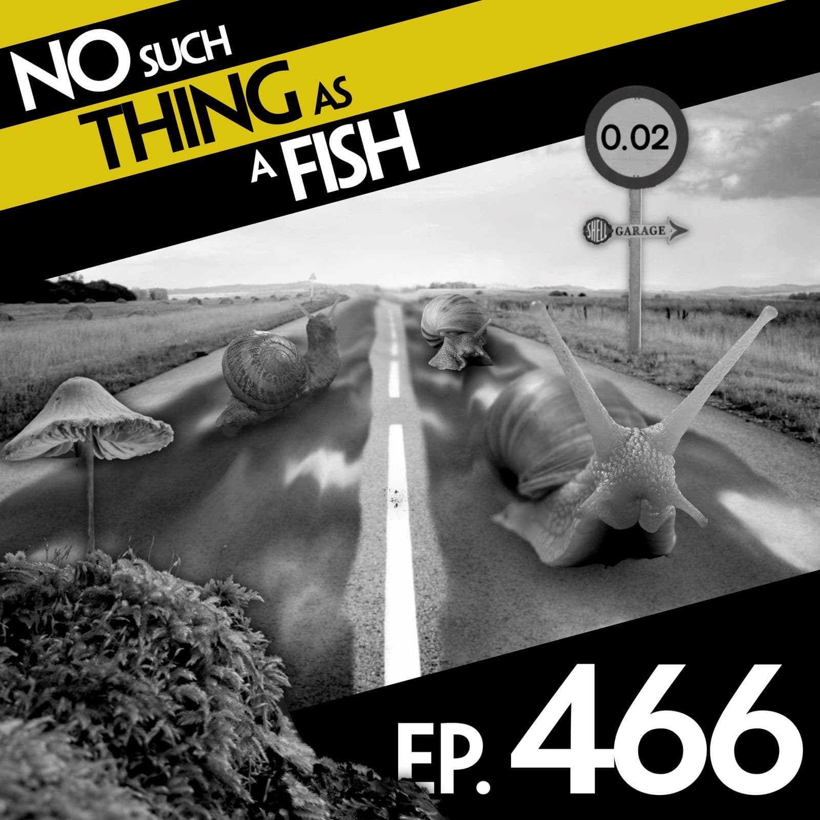 No Such Thing As A Fish podcast cover art