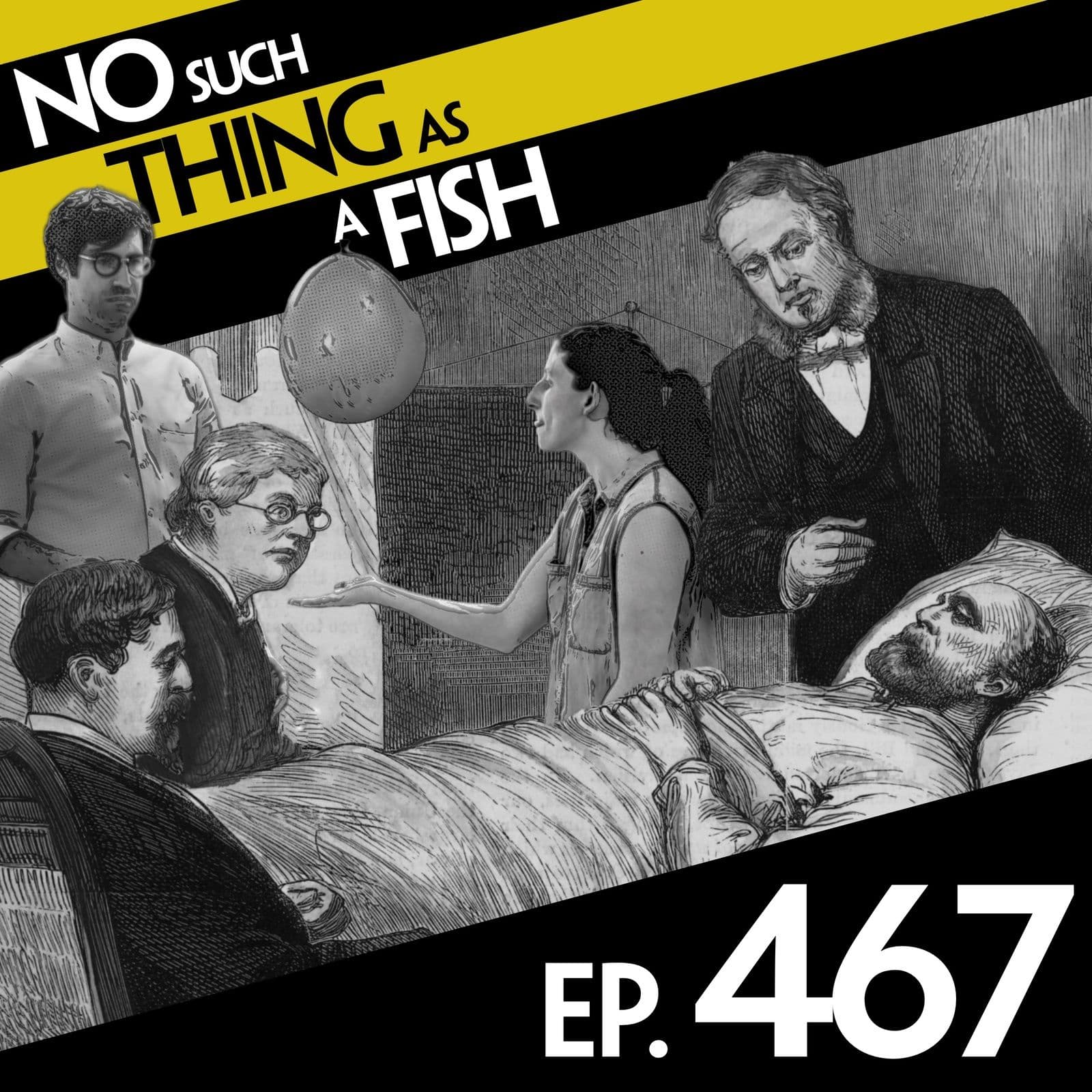 No Such Thing As A Fish podcast cover art