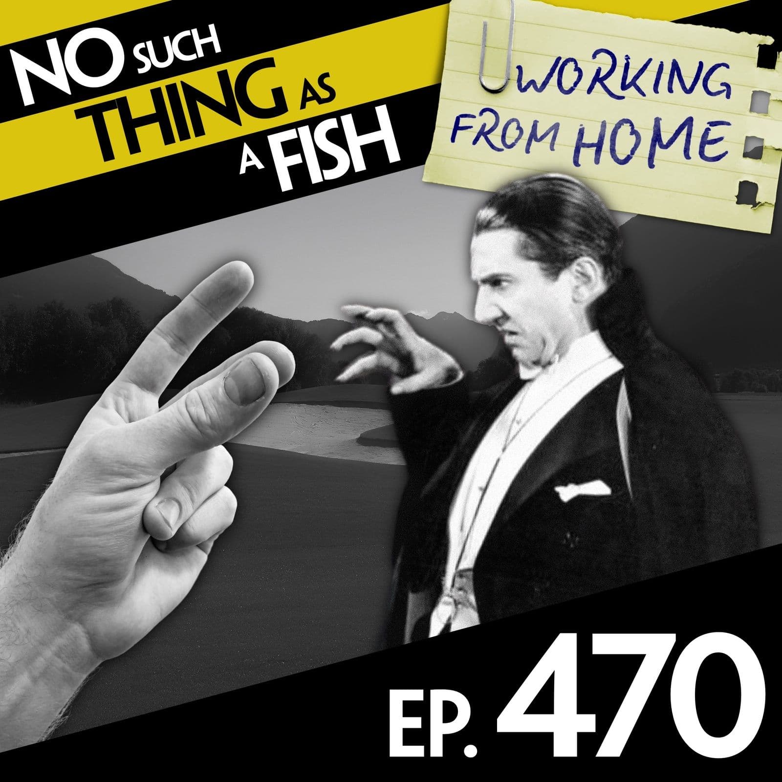 No Such Thing As A Fish podcast cover art