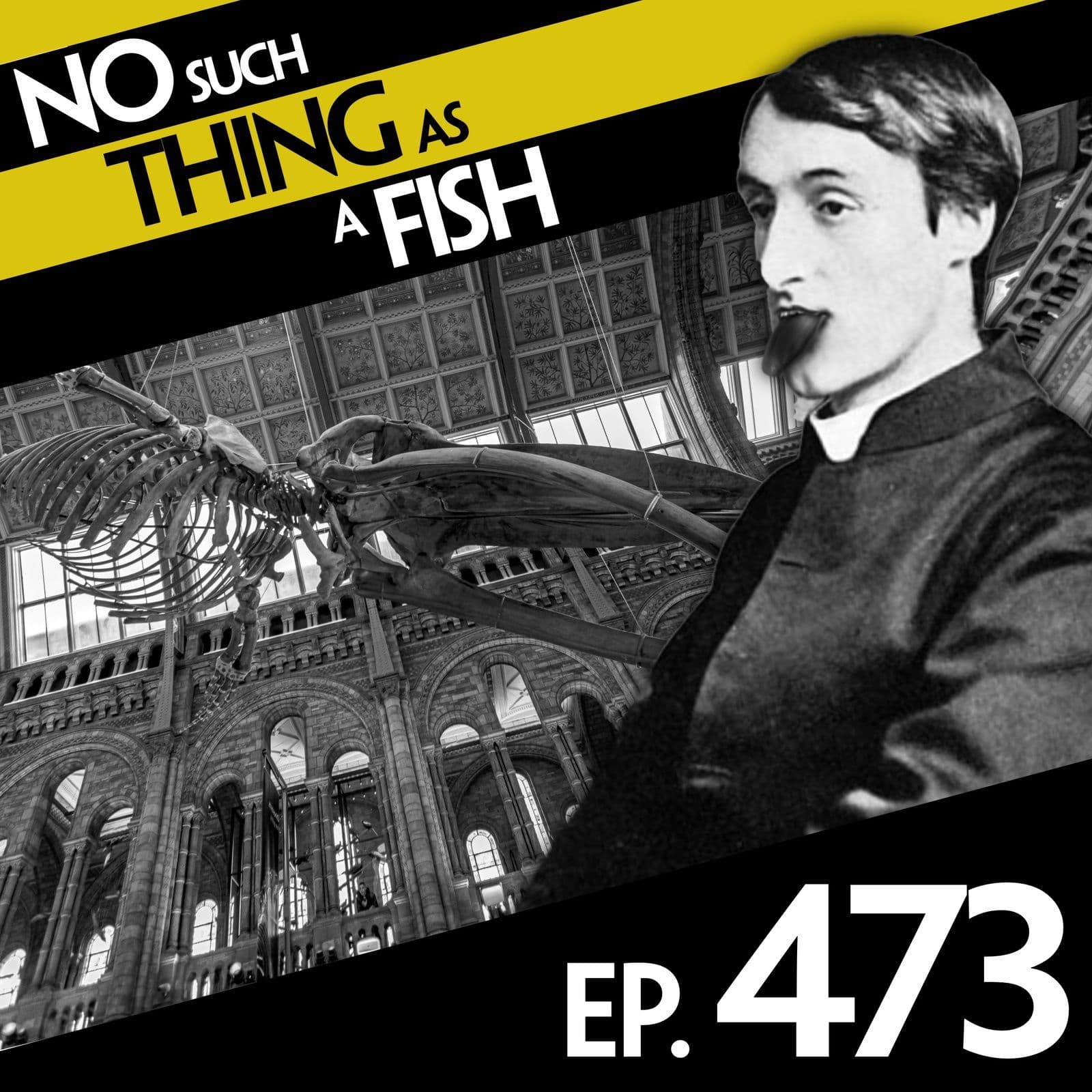 No Such Thing As A Fish podcast cover art